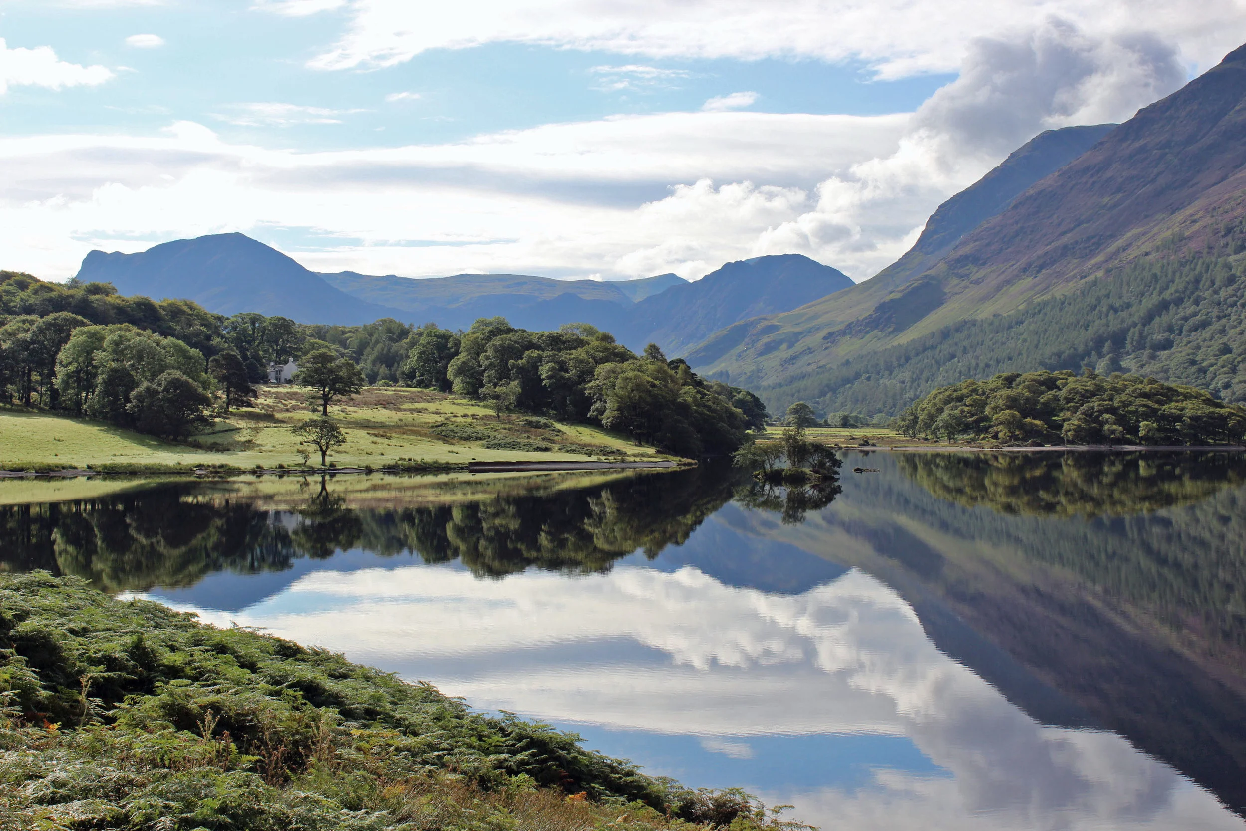 Tim landscape reflective image .jpg