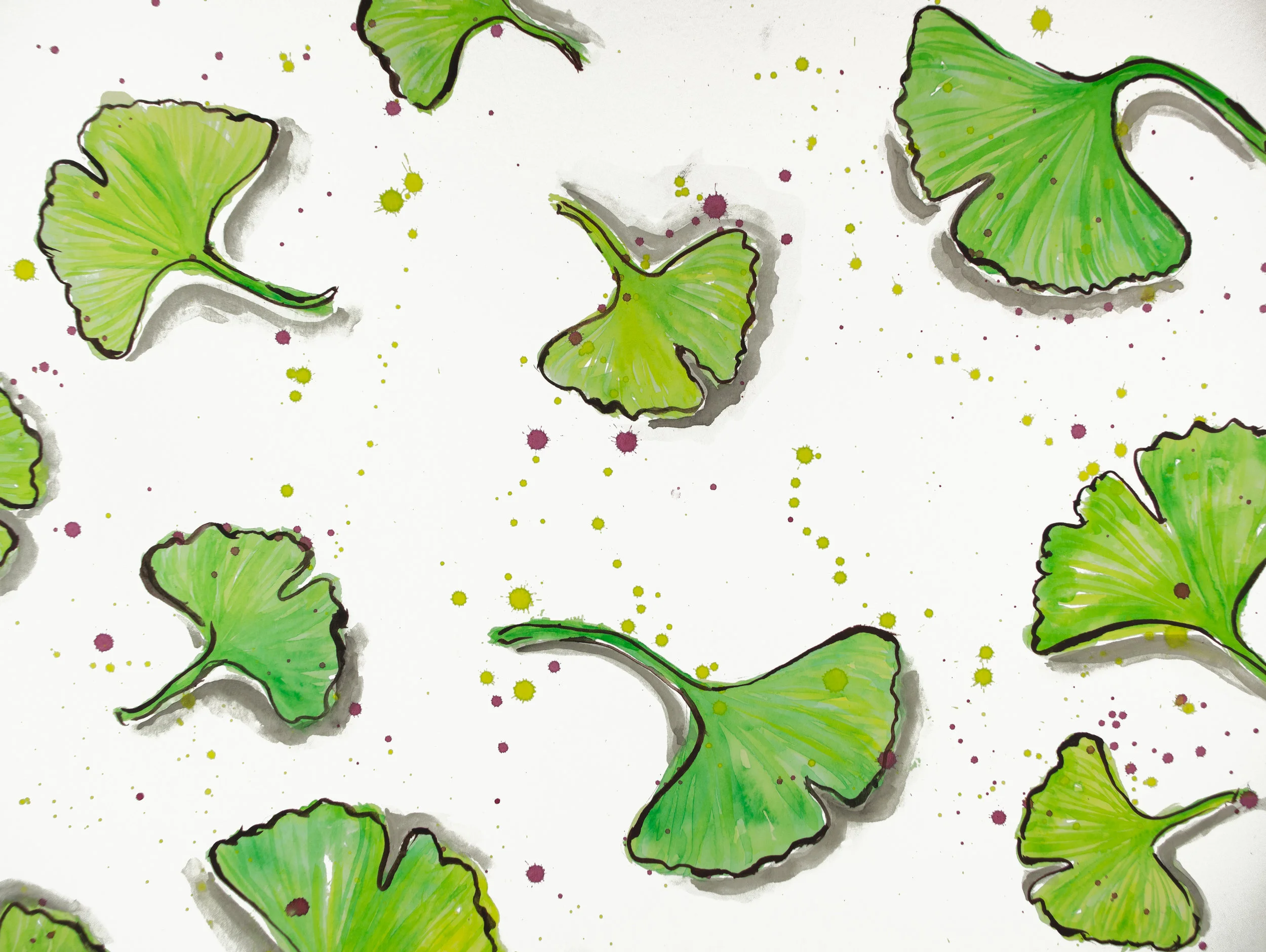 Subdued Coloured Gingko Leaves