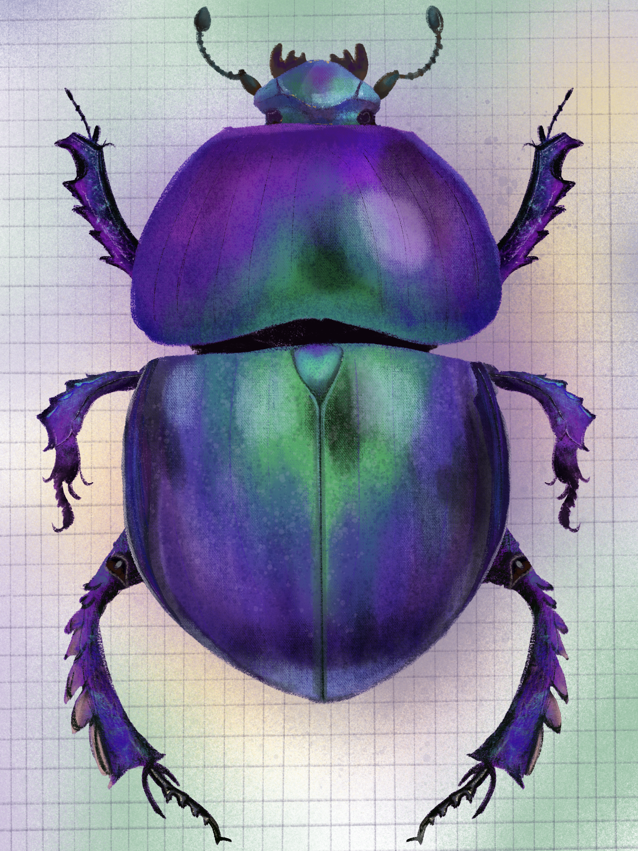 Beetle.PNG