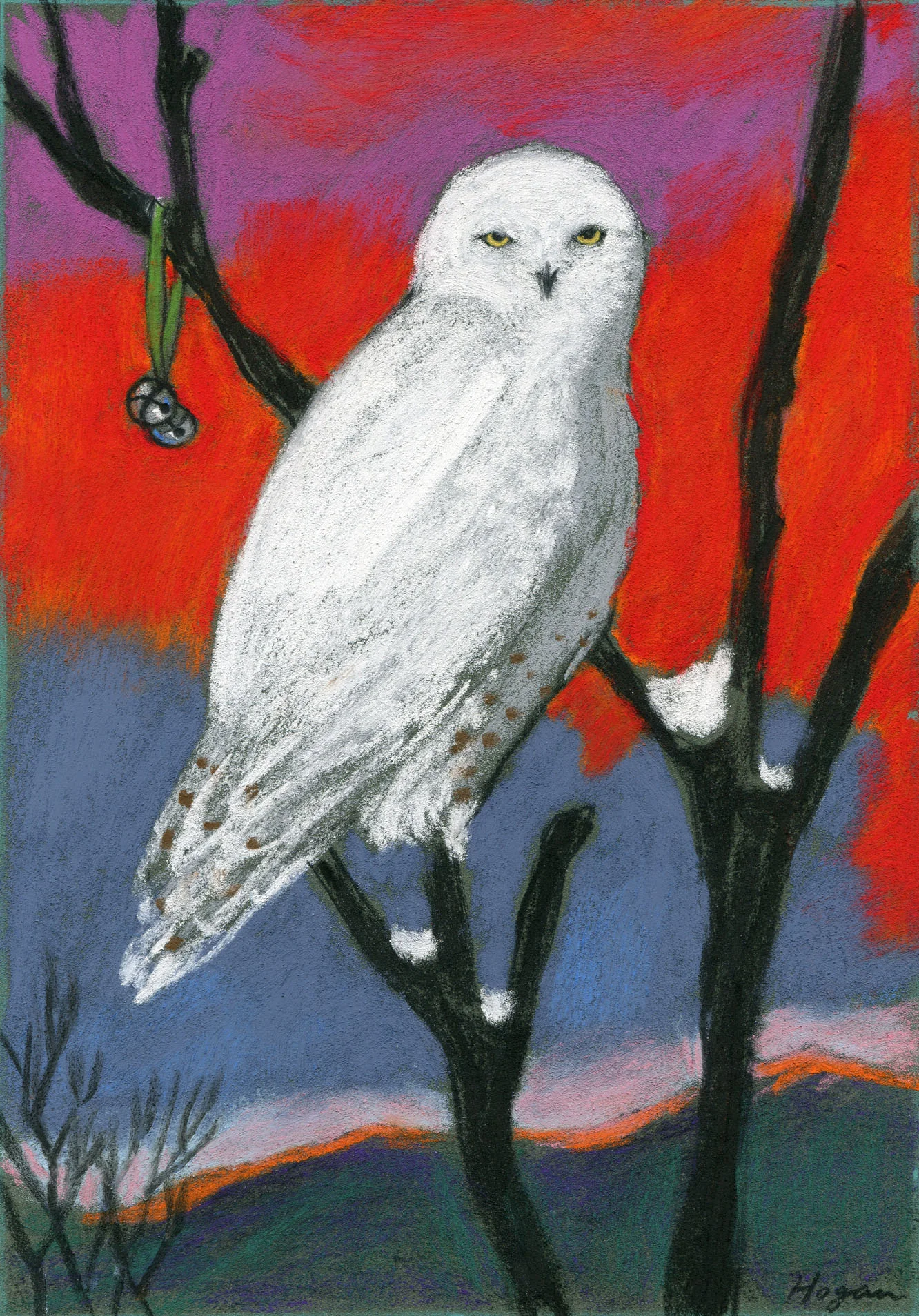 owl.jpg