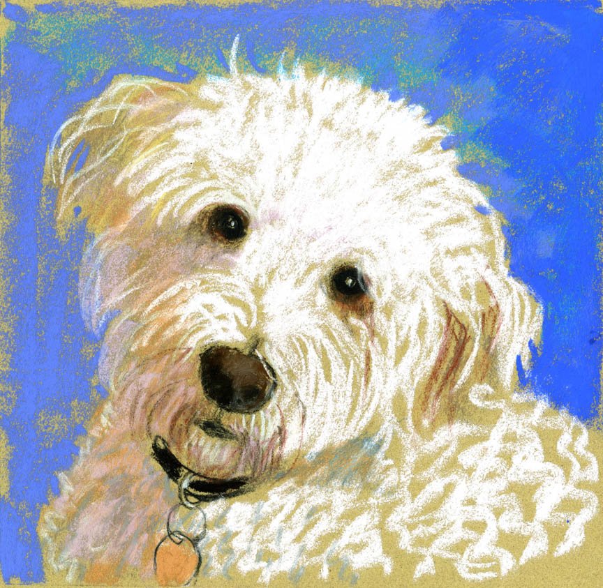 5-Tessie.jpg