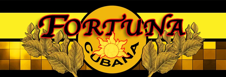 Fortuna web header.jpg.jpeg