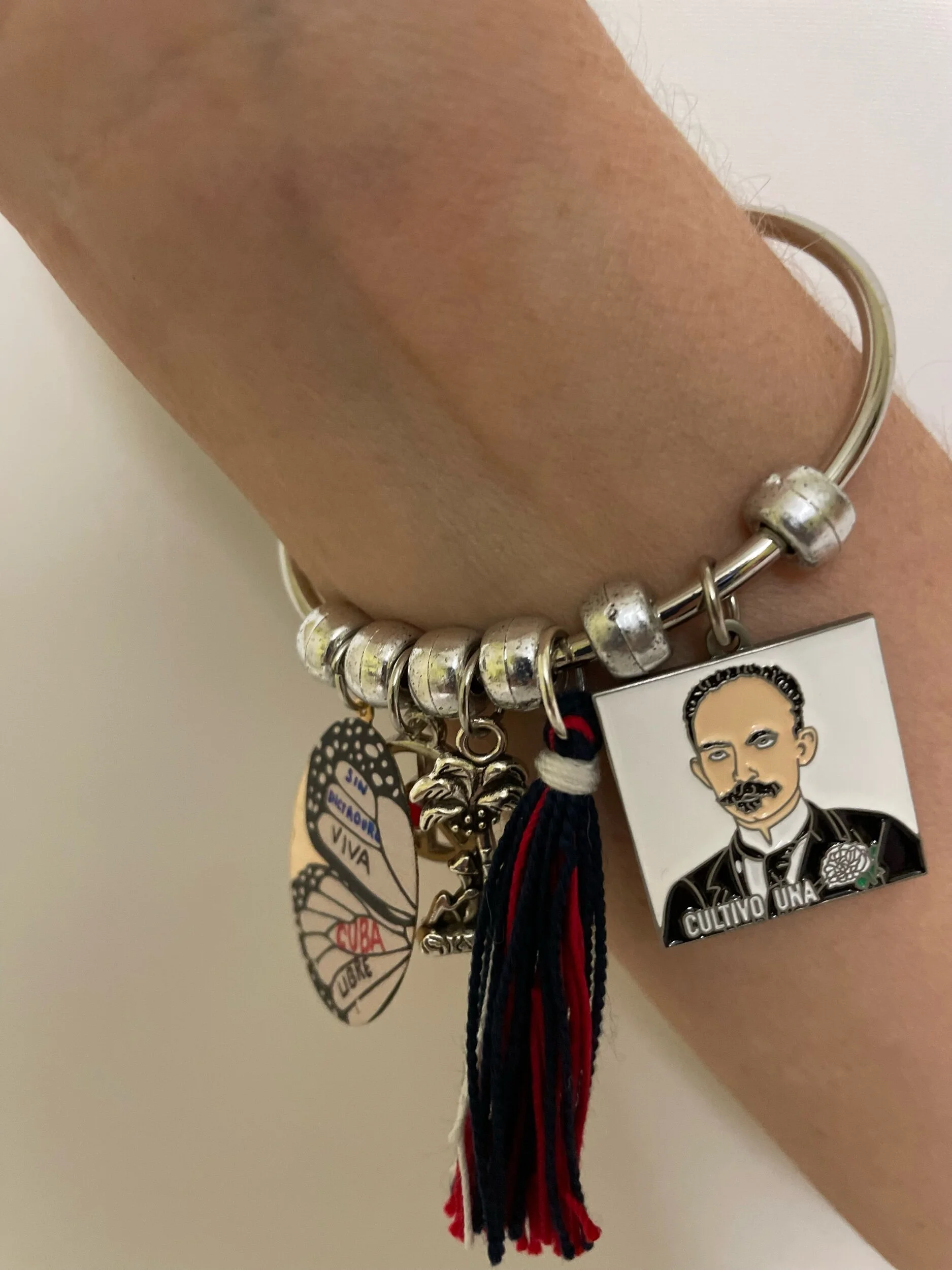 DA92F0FE-0E7F-47E3-914B-694D088DAF6C