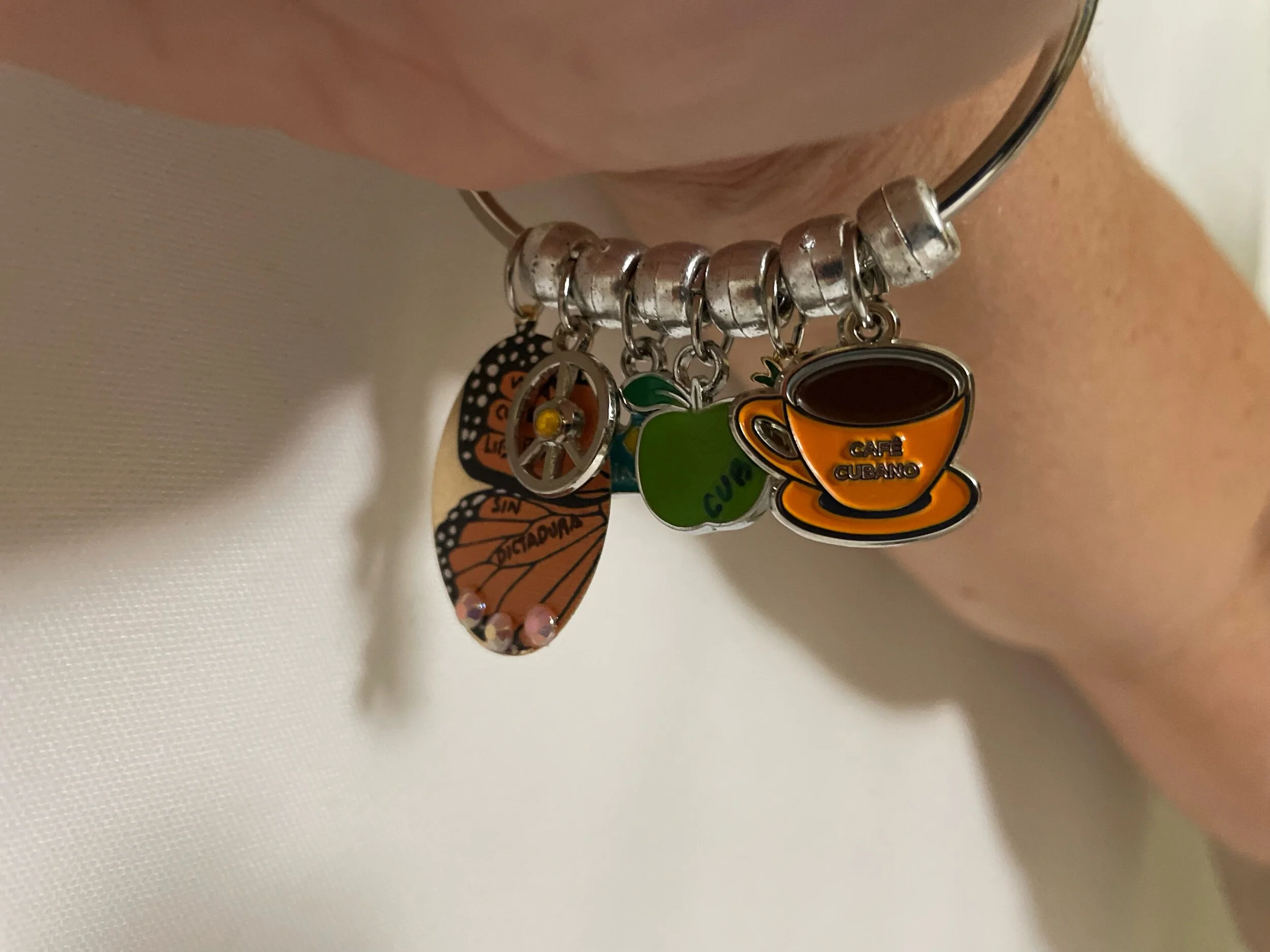 1AF97134-5AC0-47F1-AD37-DEF8F9697250