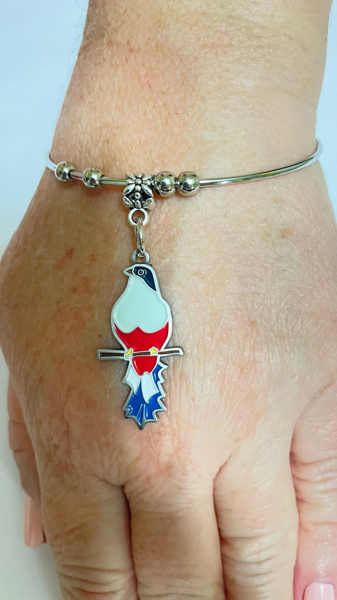 2A1B15B2-71C4-4FE1-A069-F0CB7A456791