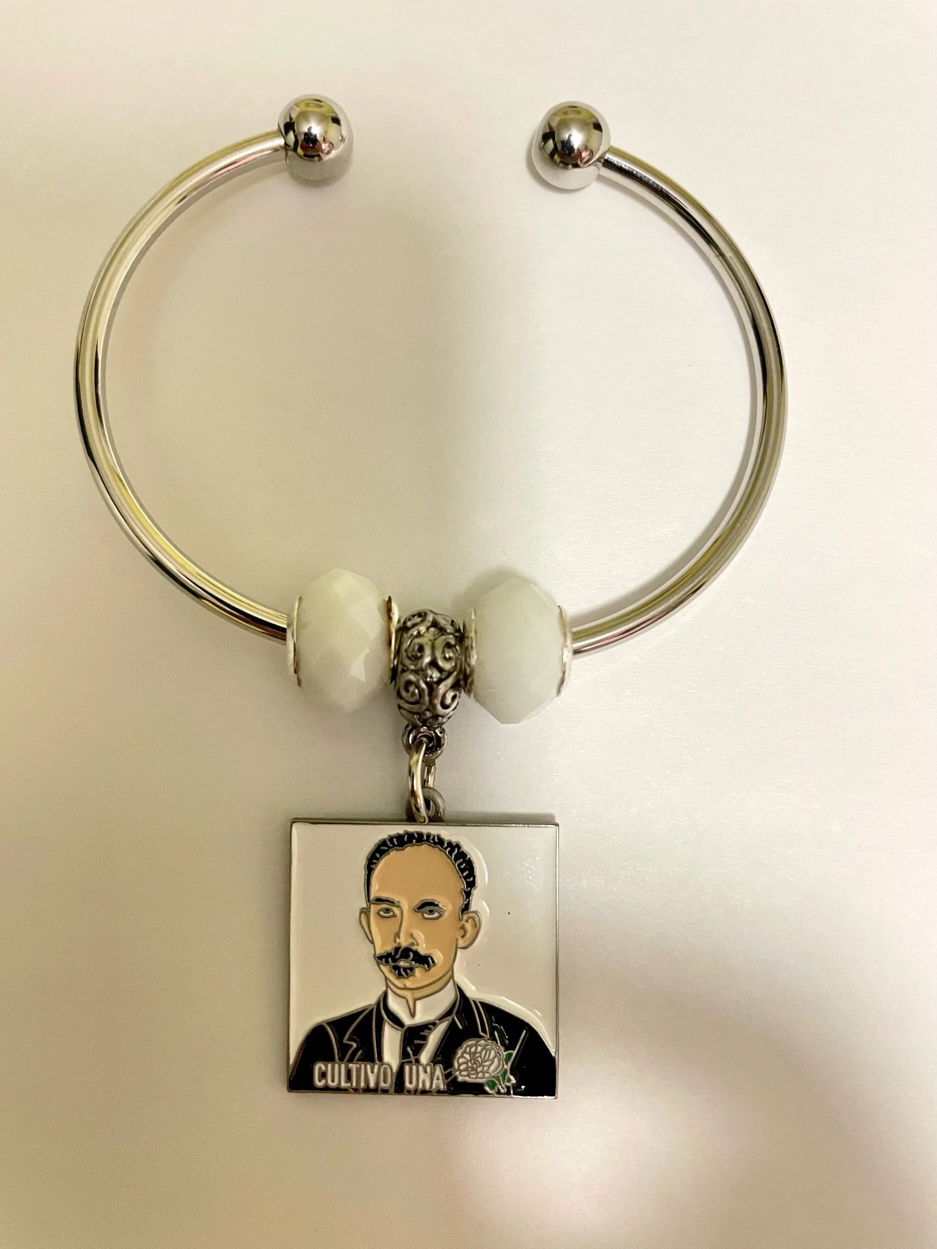 8B466828-E5B5-4338-9E7E-1571B386986E