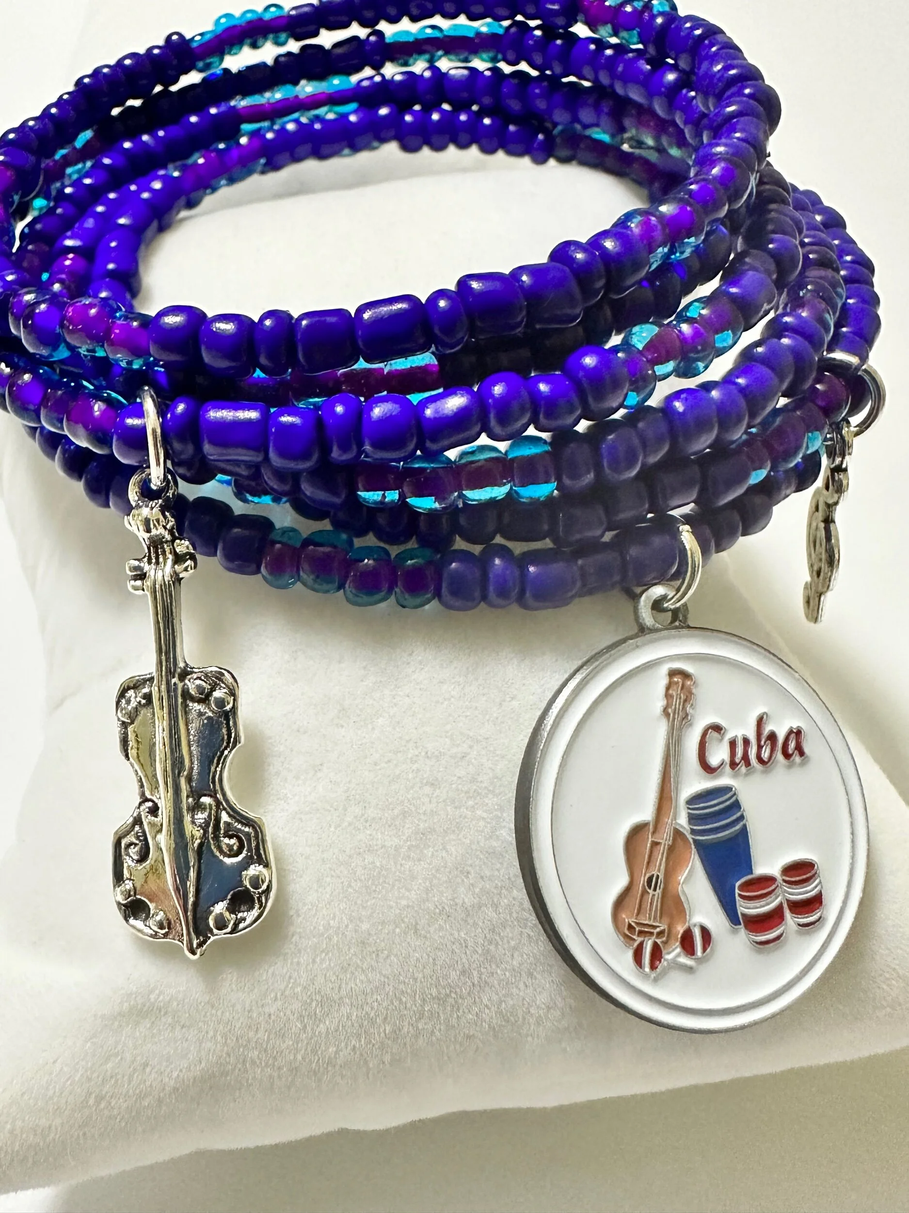 4053F1D5-E179-4BFB-A9EC-E09C04840105