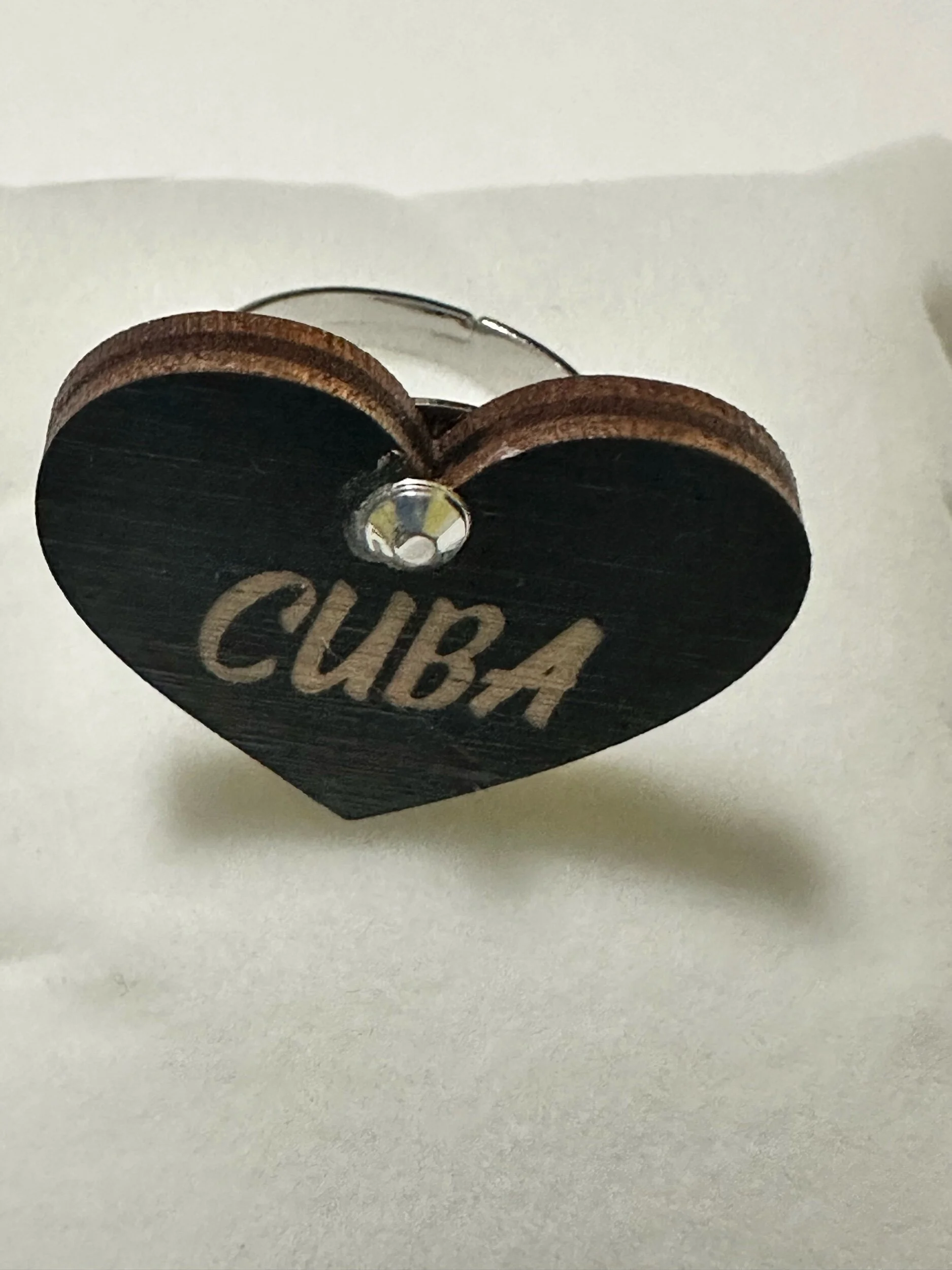 F8058C1F-1174-4684-9E42-1662E9B28E92