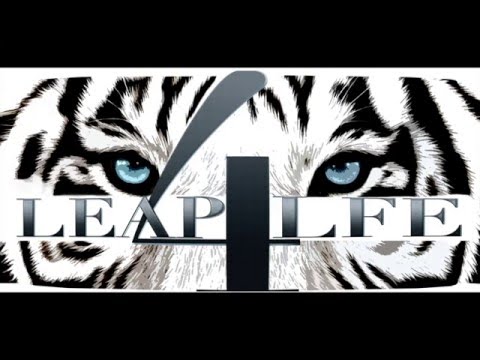 Leap4LFE (Copy)
