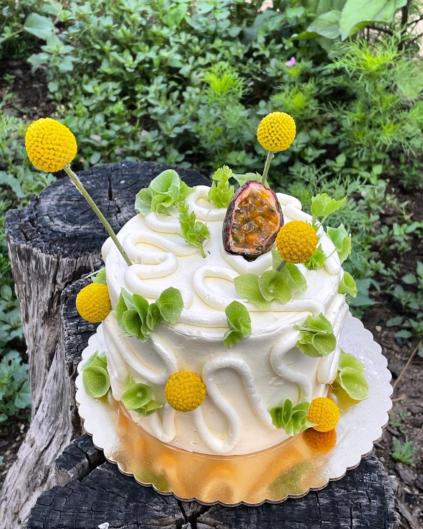 The ground is bursting with wildflowers again, so #stumpcontent is back in full force. Passionfruit cake sitting pretty on natures cake stand. 

Passionfruit @tehachapigrainproject Sonora @getgraza Olive Oil Cake, Passionfruit Curd, whipped salted va