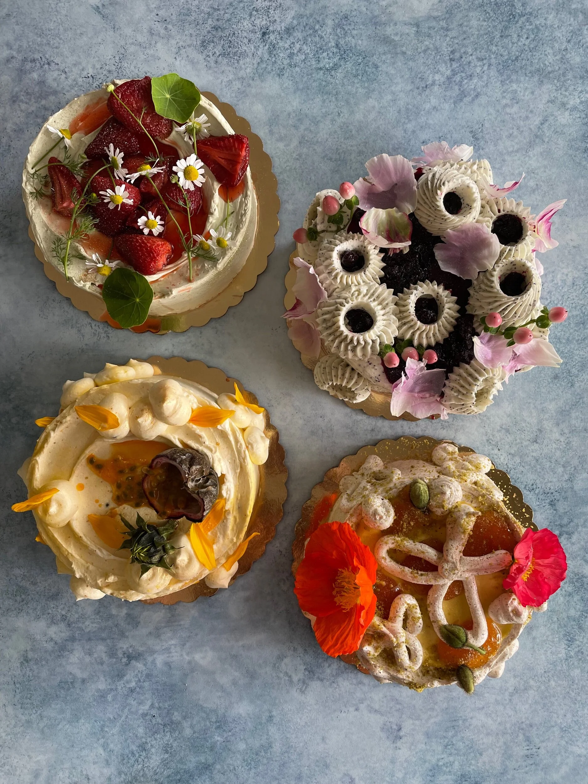 11BF382E-291A-4DBB-BCEB-C0419A950C84