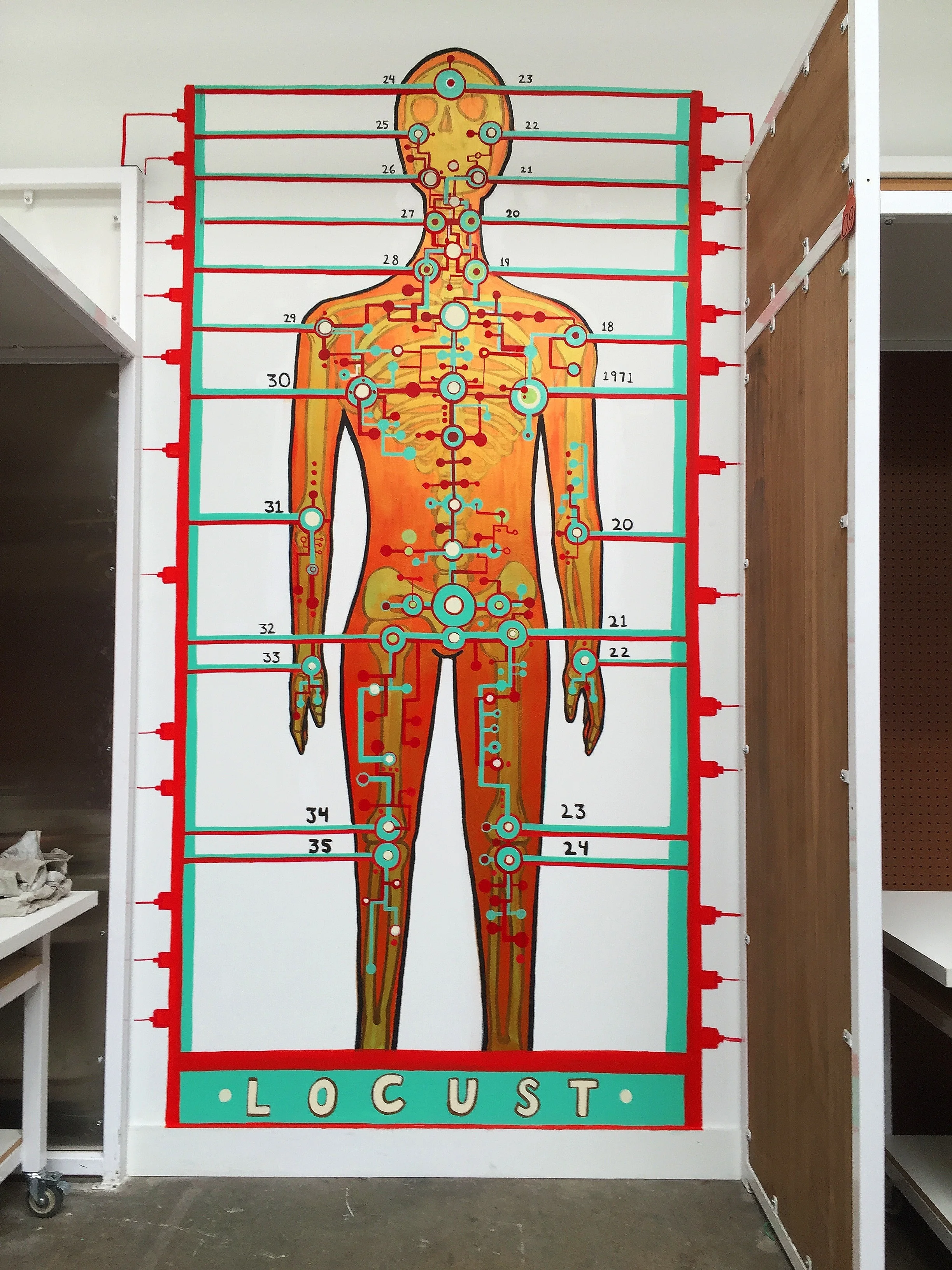 Colorful wall diagram of a human body with labeled acupressure points and pathways, titled 'Locus' at the bottom.