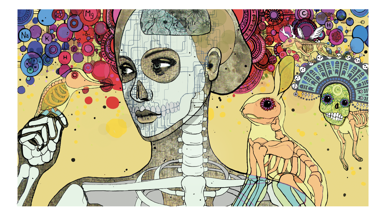 New To The World Of The Dead 2013