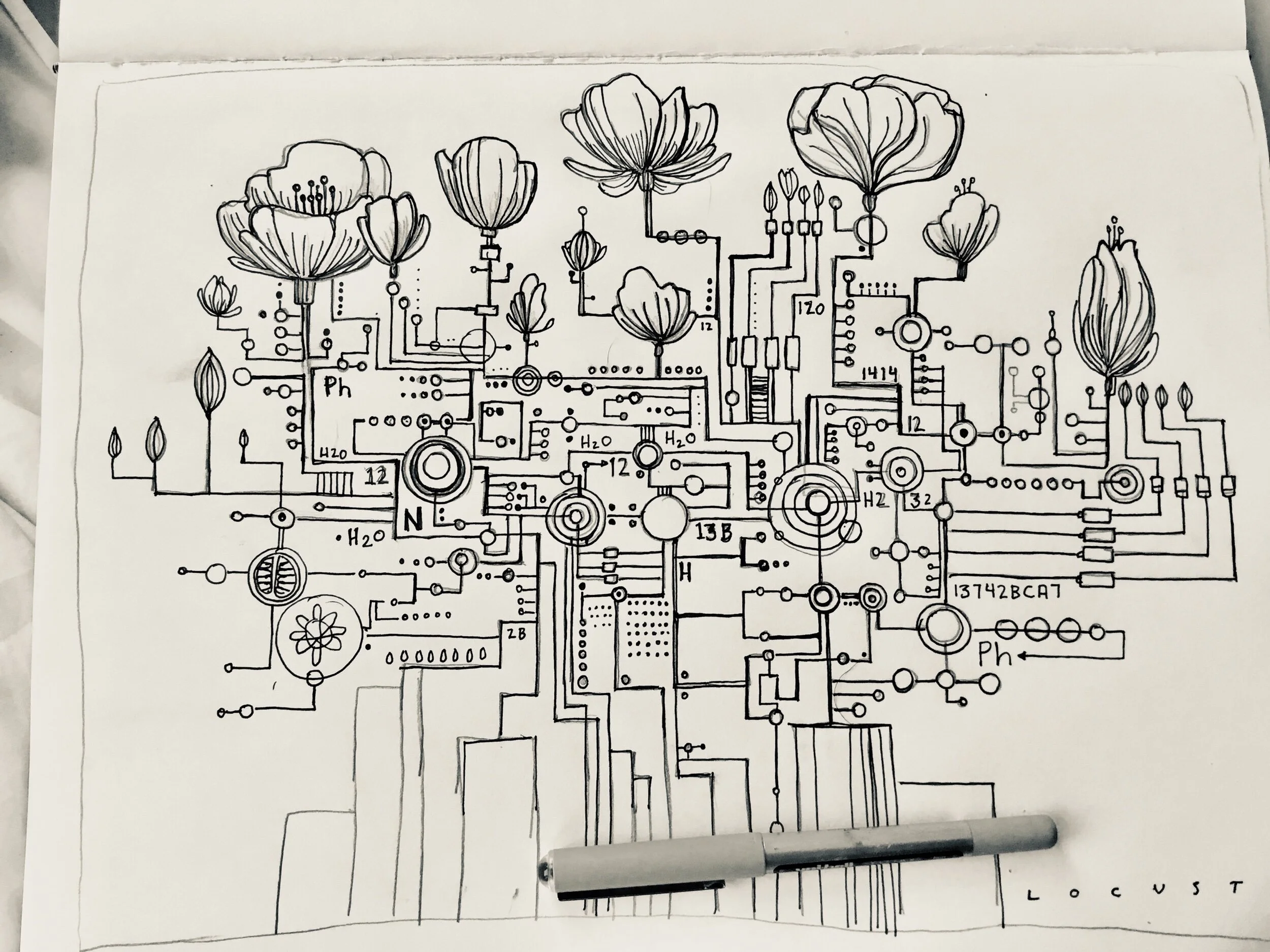 A black and white line drawing of a circuit board with various flowers integrated into the design, including poppies and tulips, with electronic components and connections.