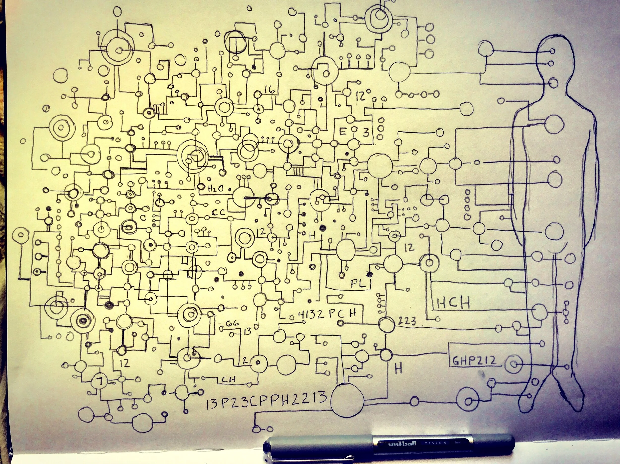 locust drawing science art 
