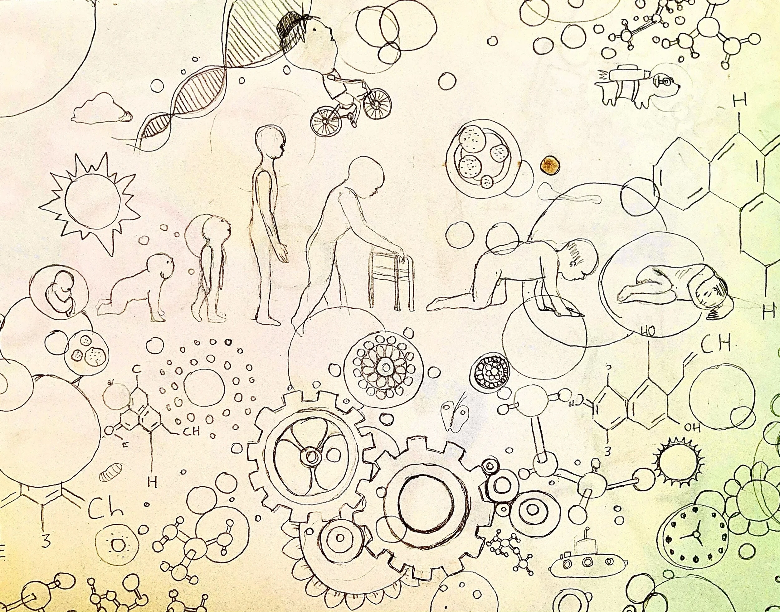 A collection of hand-drawn illustrations depicting the stages of human life, scientific molecules, gears, time clocks, and scientific structures, all interconnected in a complex, abstract composition.