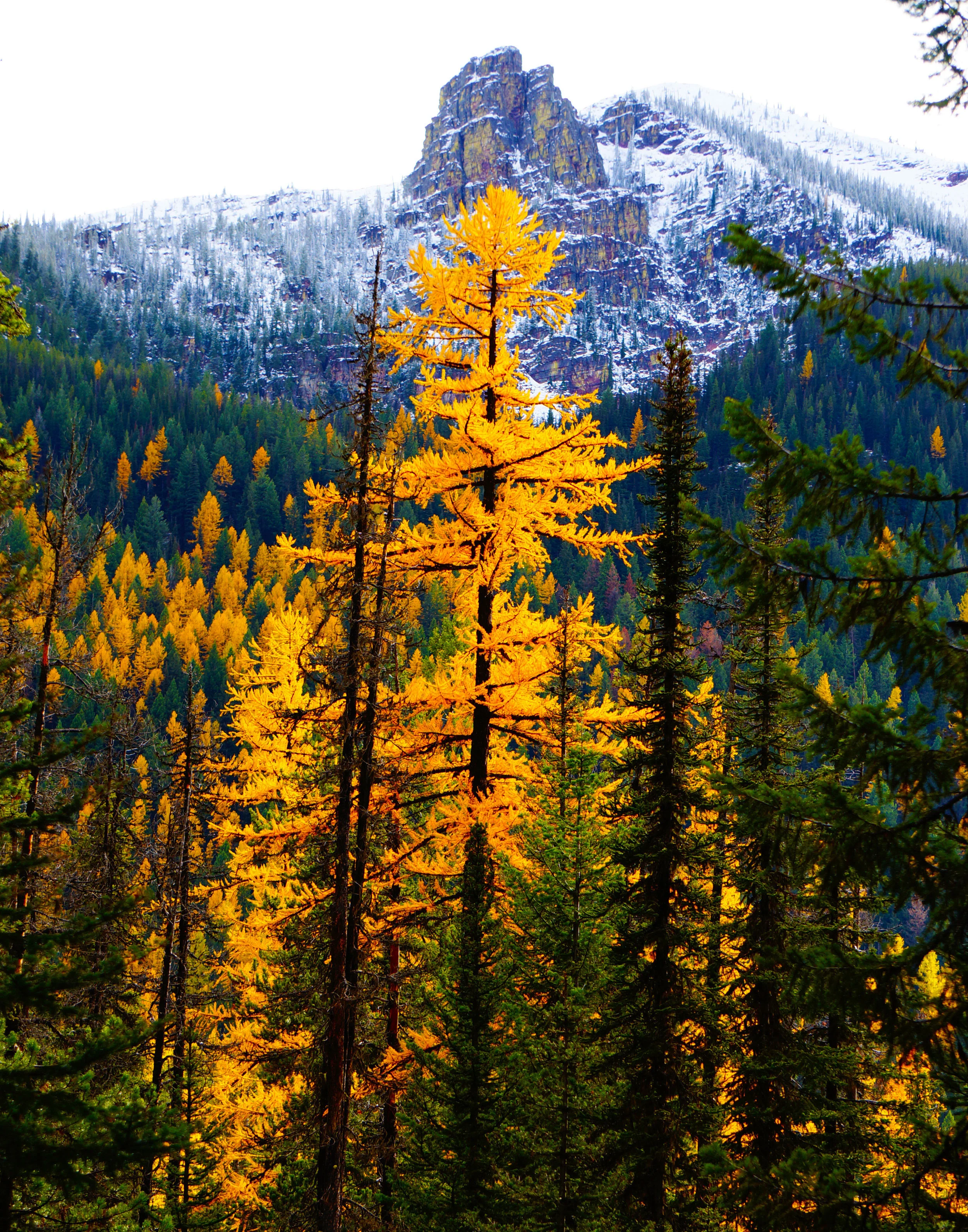 Fall Colors Photo.jpg