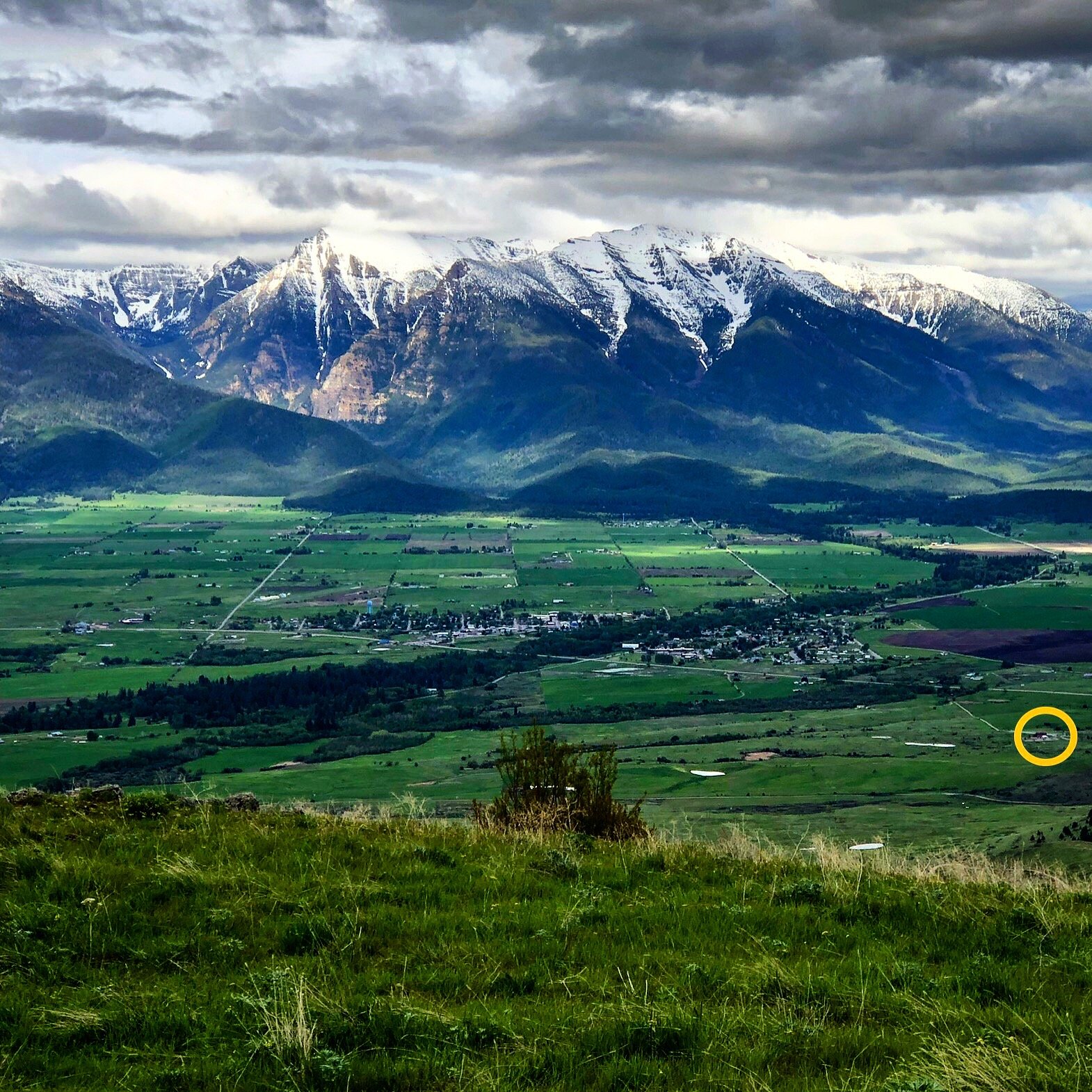 Bison Range view of Rugged Horizon.JPG