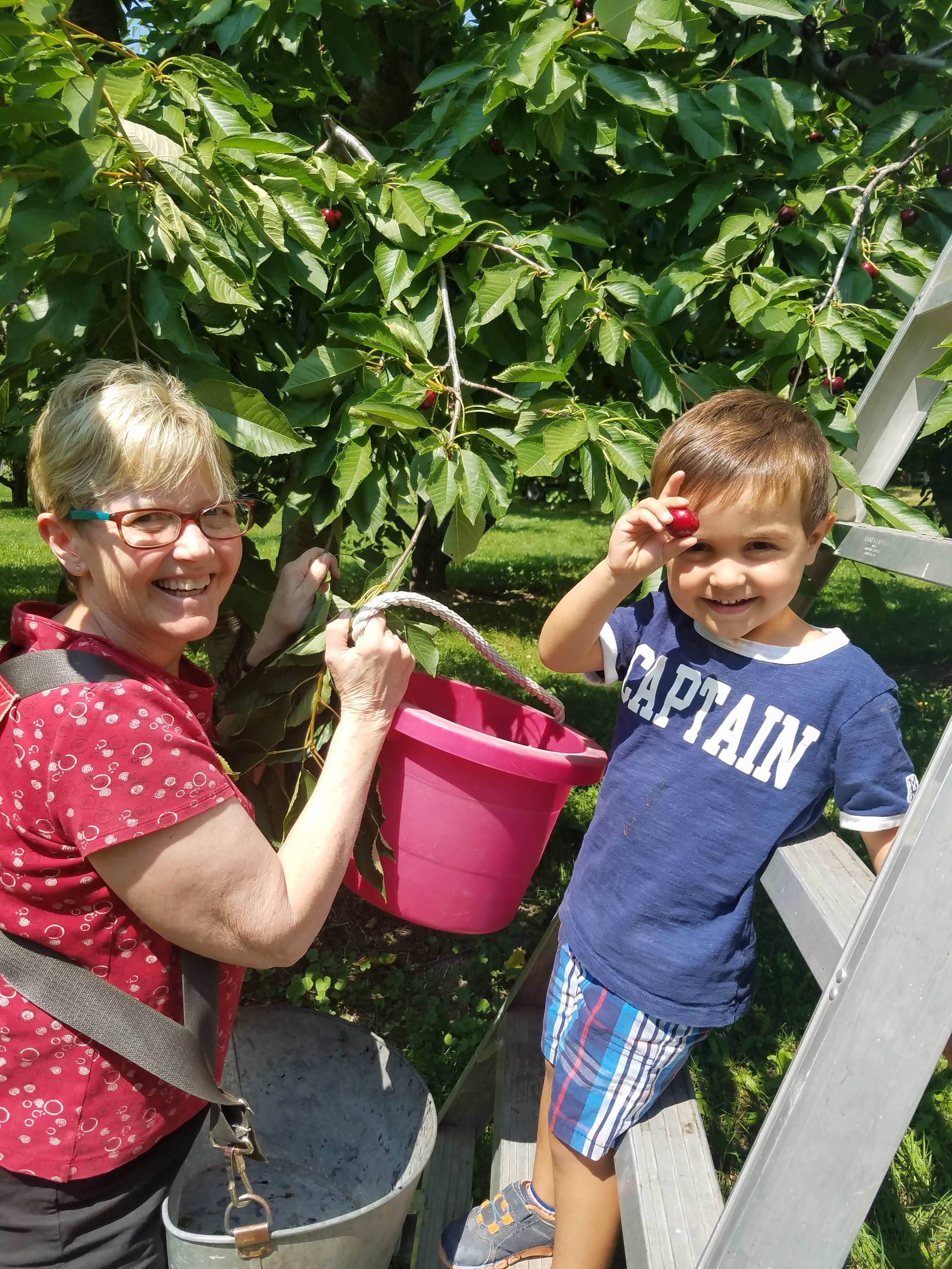 Picking Flathead Cherries Family Activity