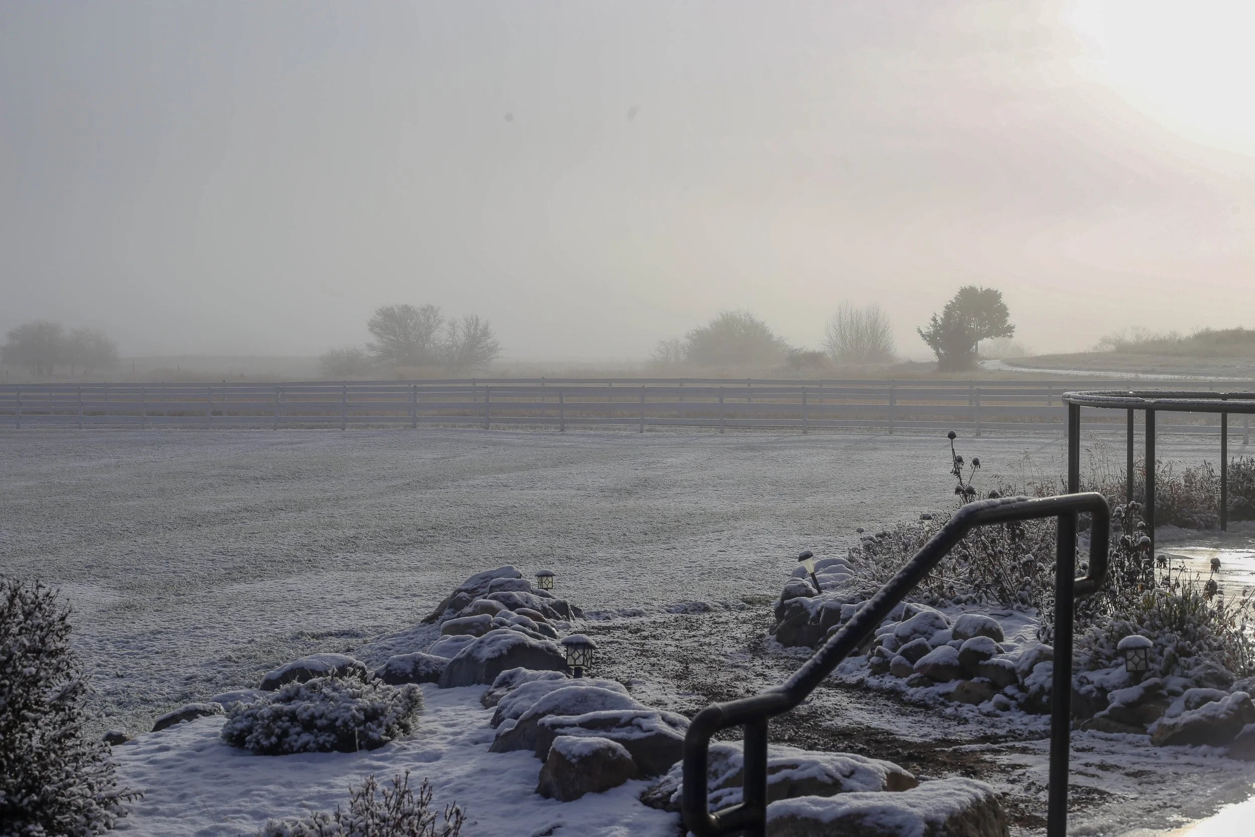 Foggy Winter Wedding with Snow