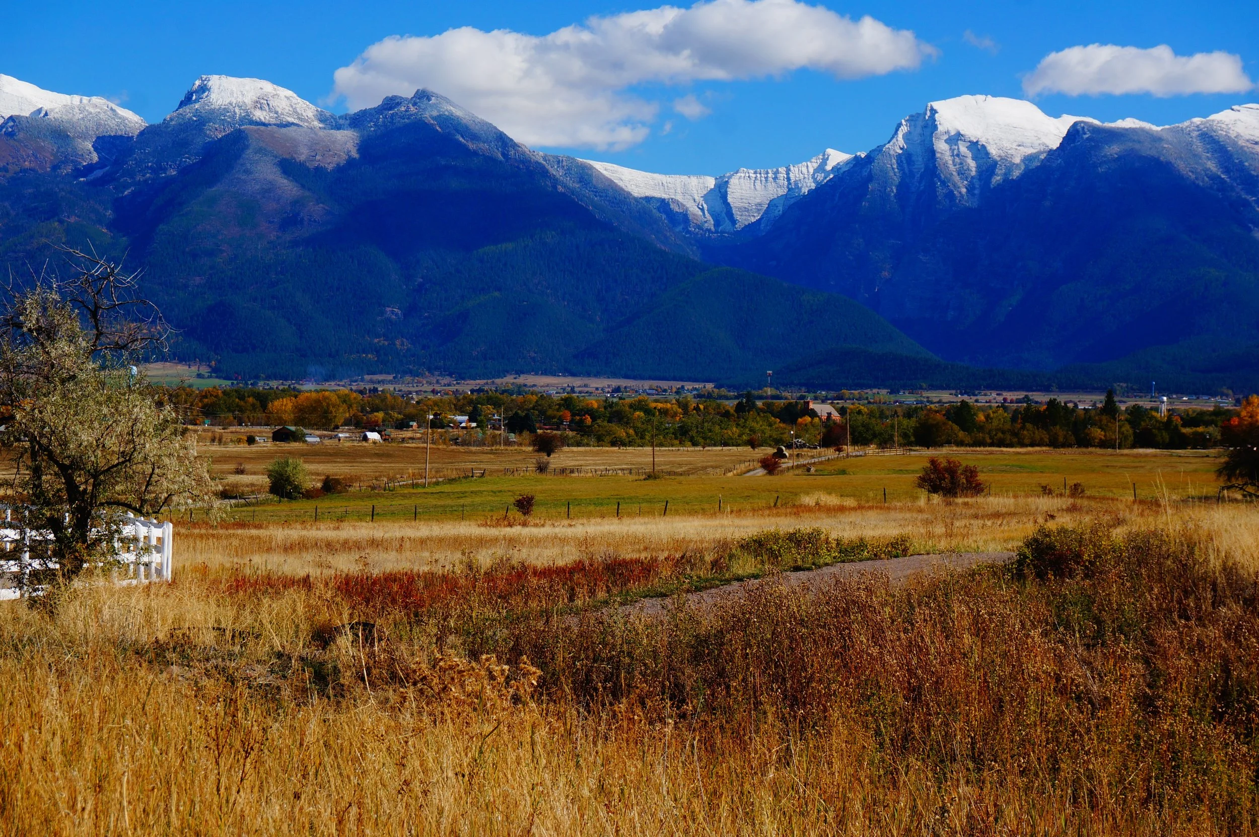 October 18 2024 Rugged Horizon Mission Mountains-22.jpg