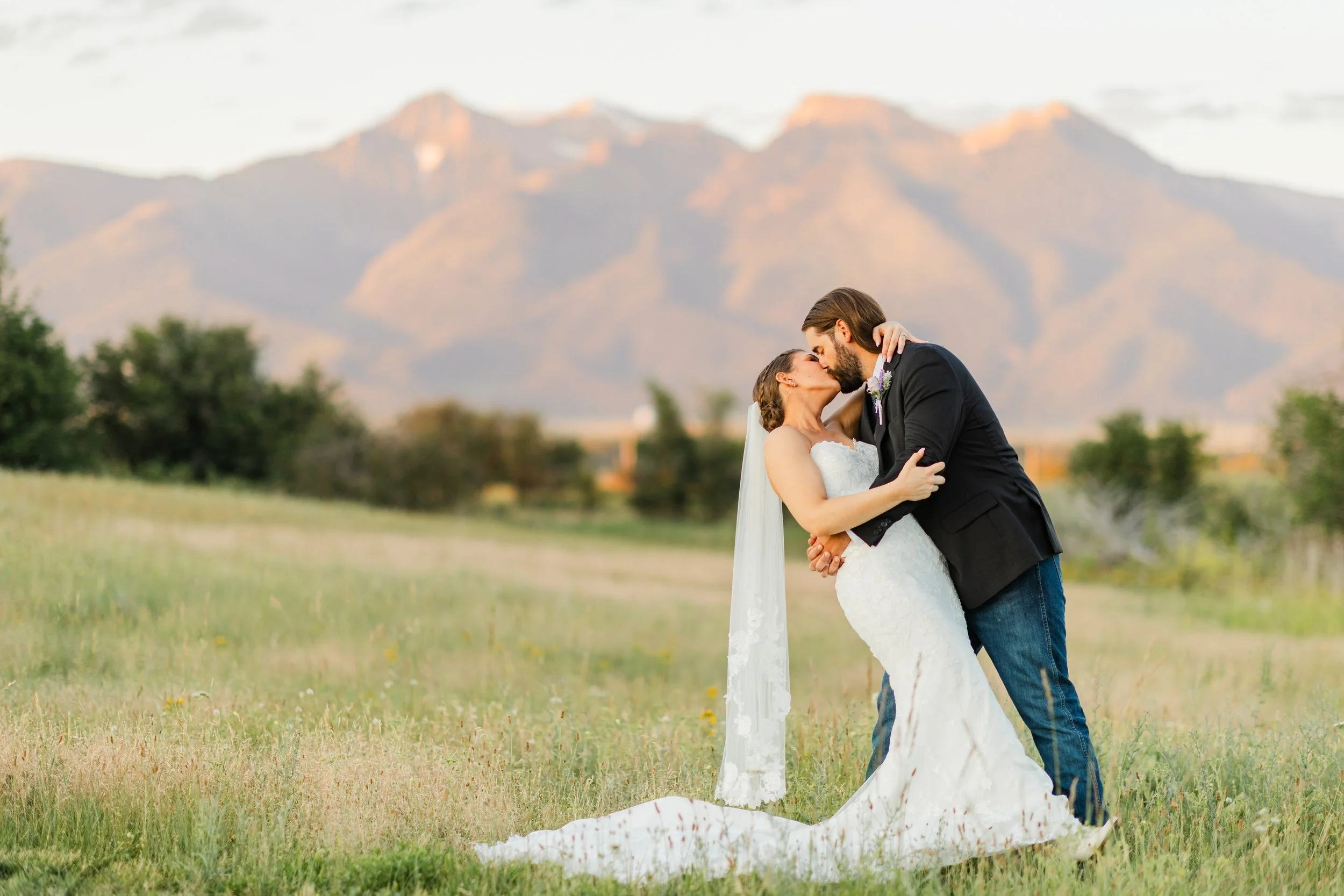 Alpenglow Meadow by Jenna Ballard Photography.jpg