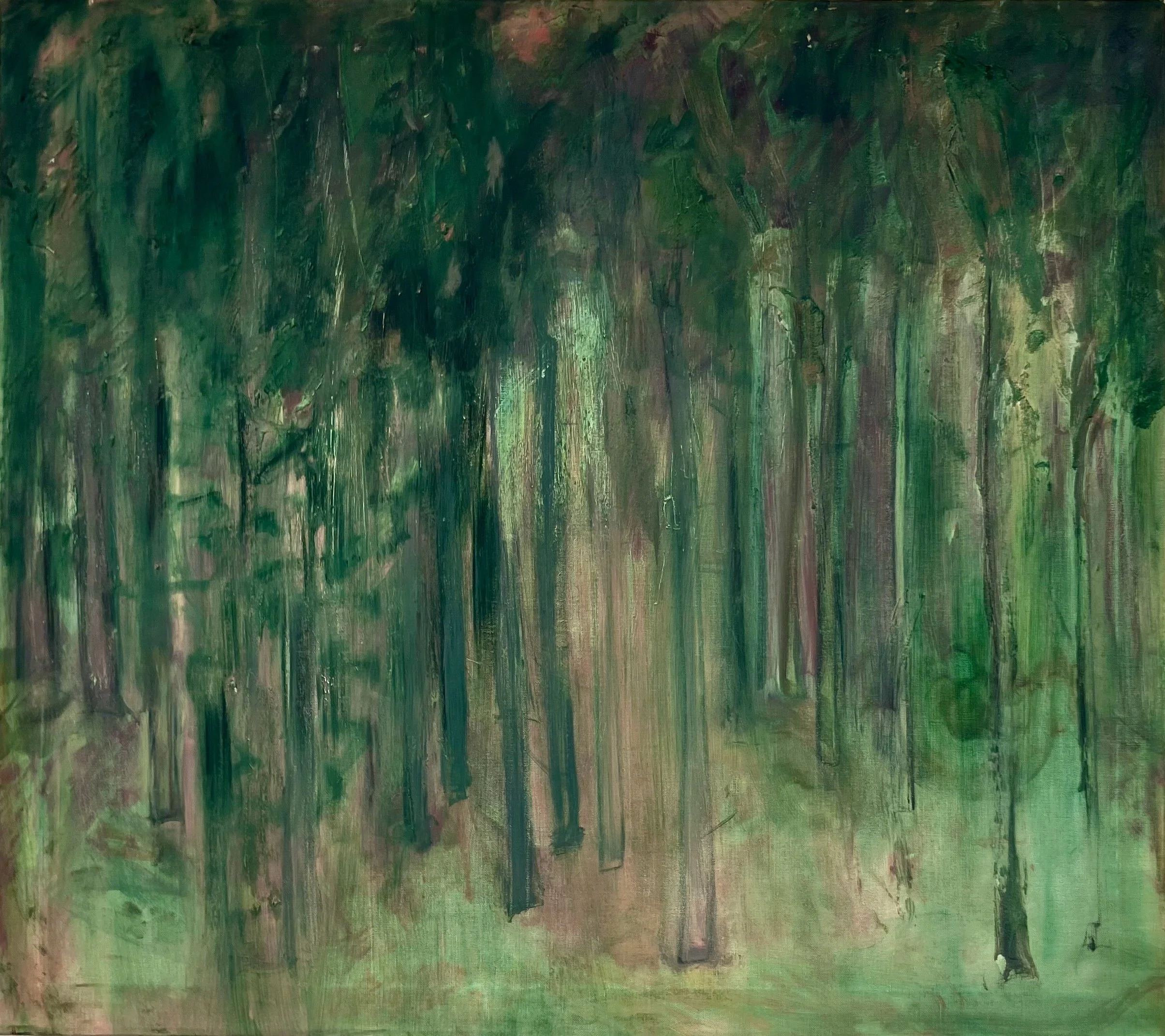 Murky Forest Light, 2026