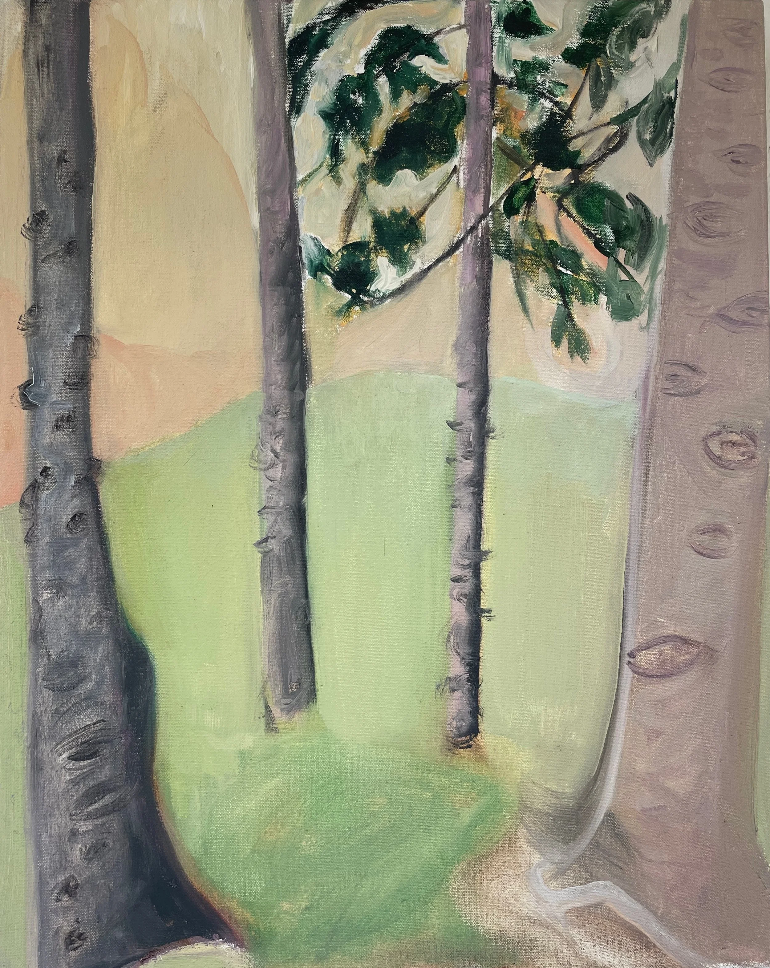 Limbed-Up Pines, 2026