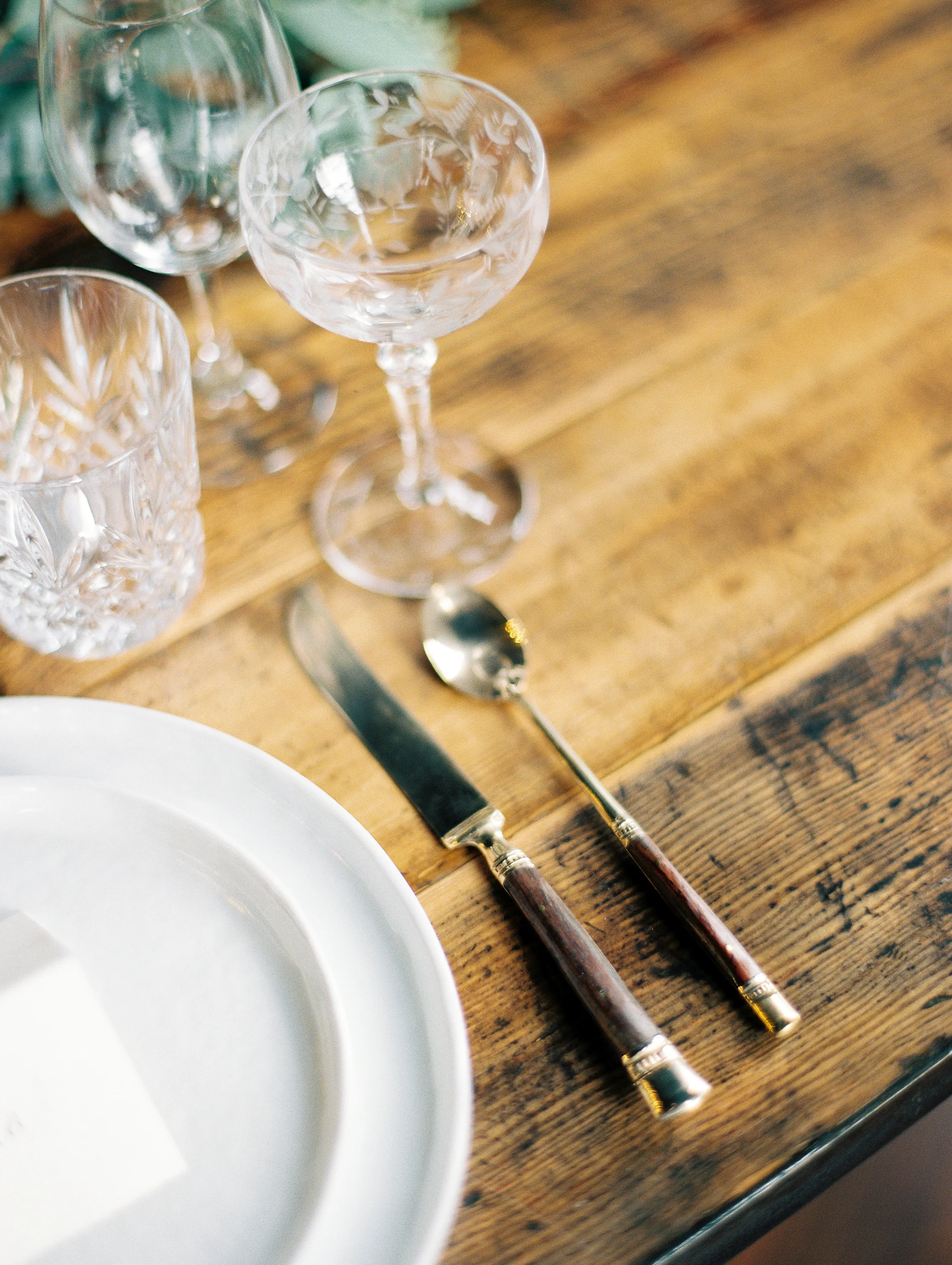 0915_BecomingDinner_03.jpg