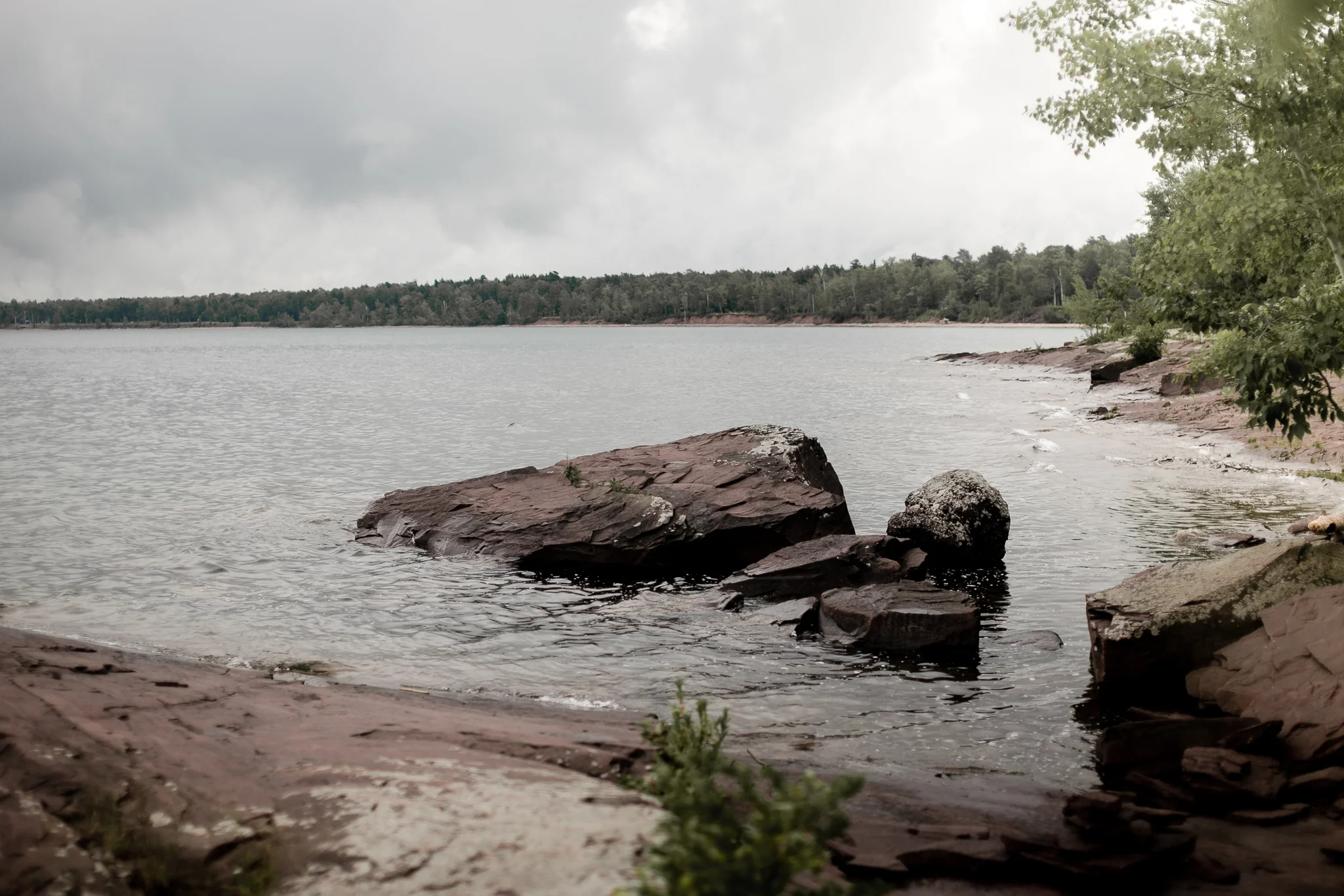 ontanogan-5.jpg