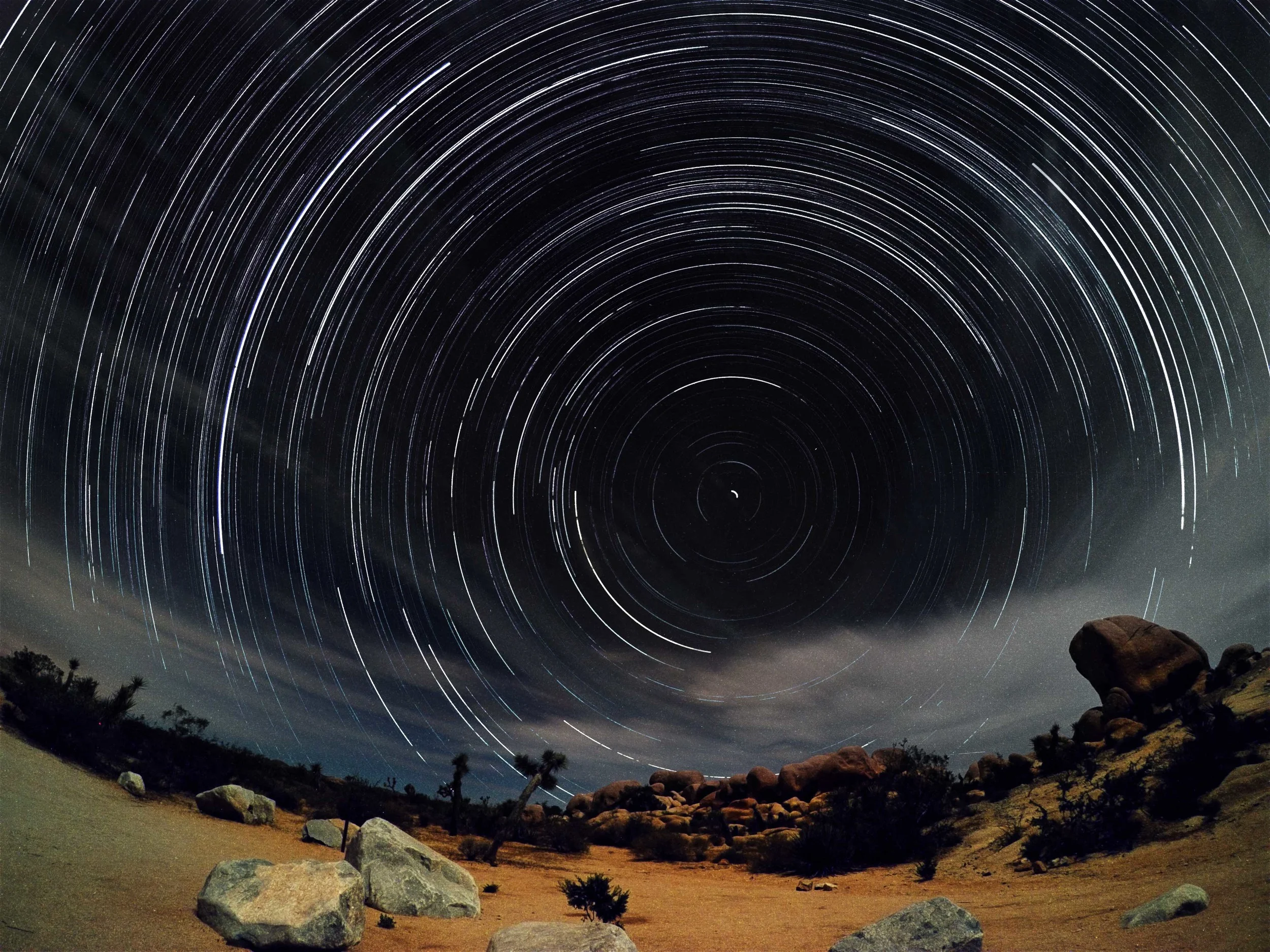 Welcome to #AshLivin!