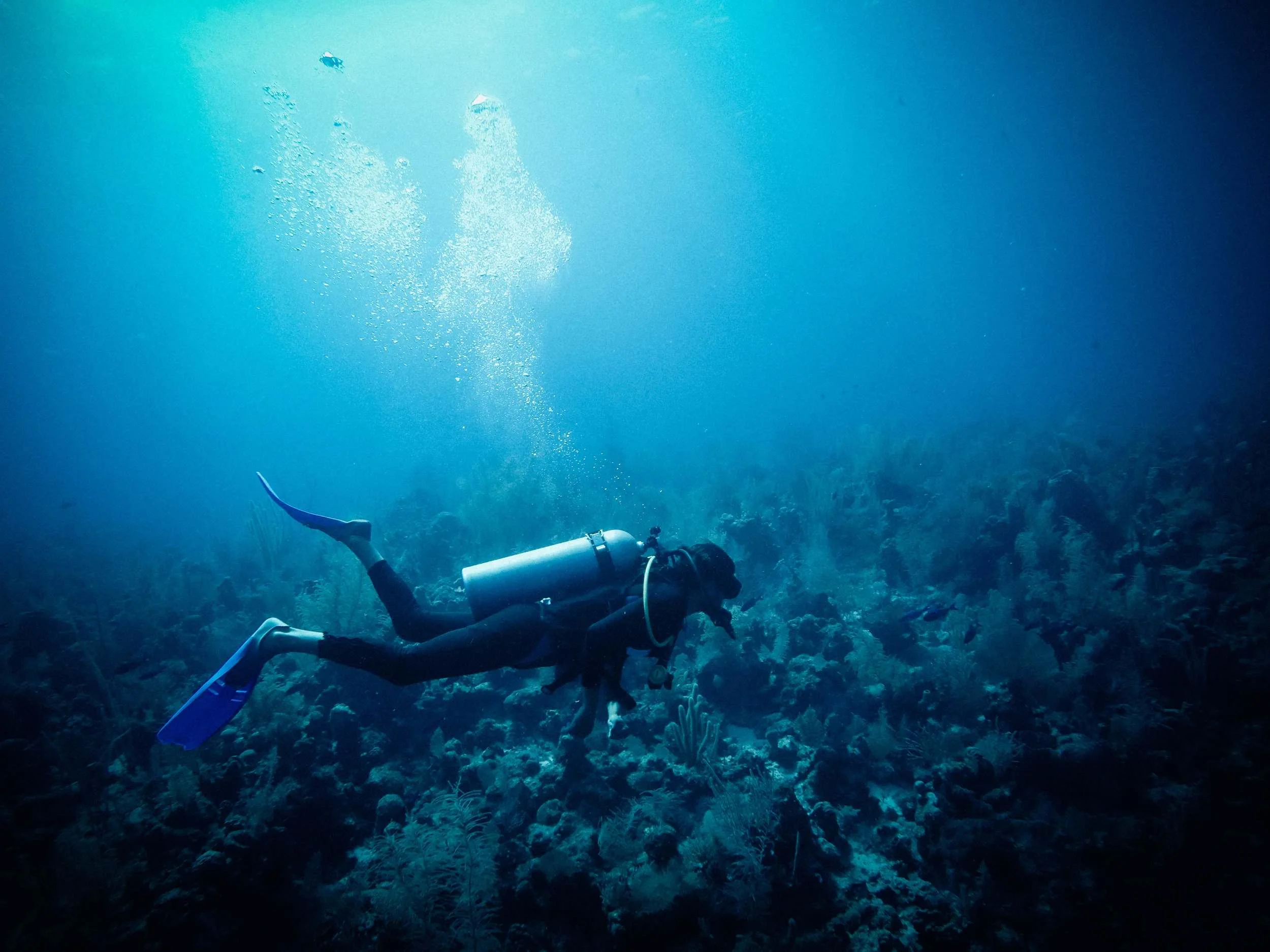 AshLivin Video #7: Belize and Mexican Ruins