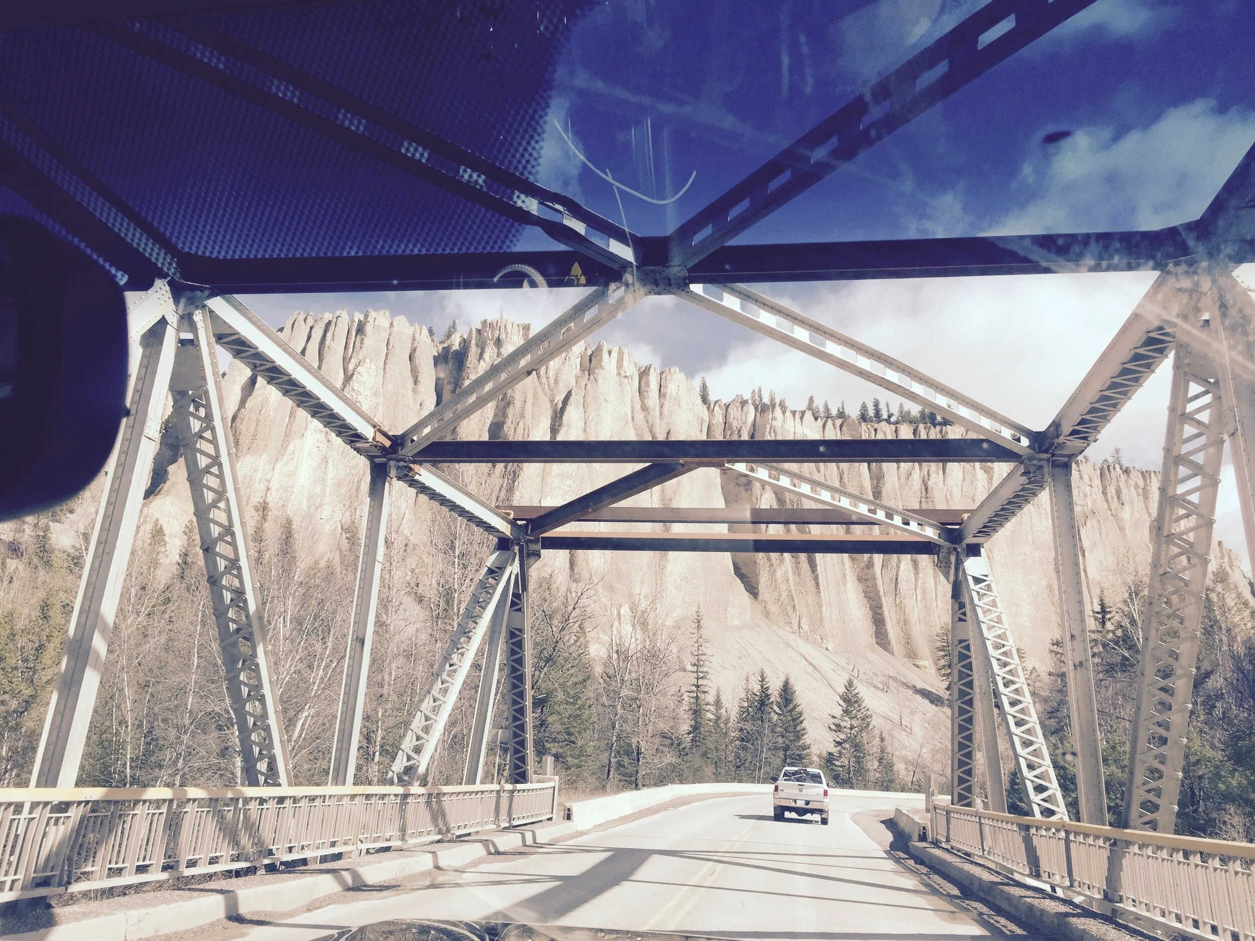 Italian Homeopath uses constitutional homeopathy for Covid 19 (Copy)