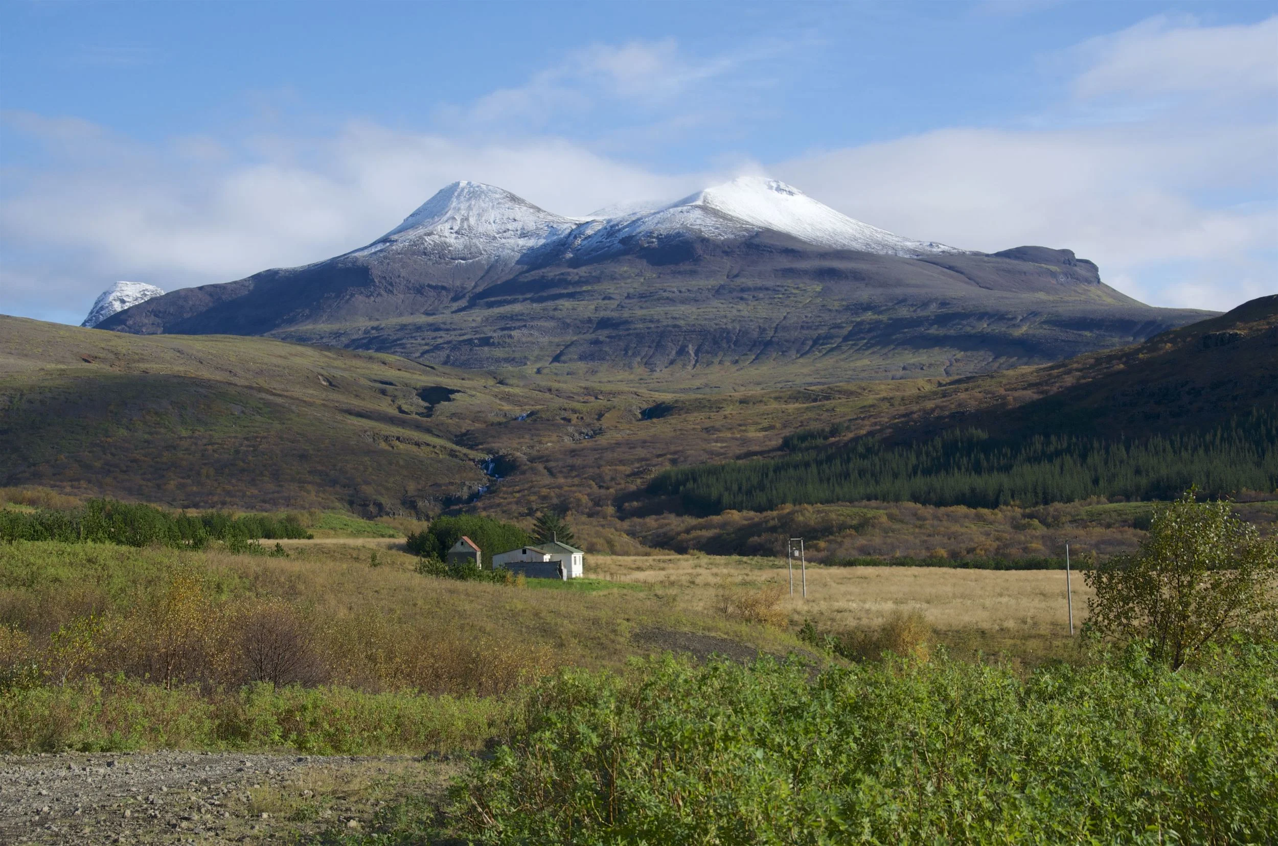 DSC_0366.jpg