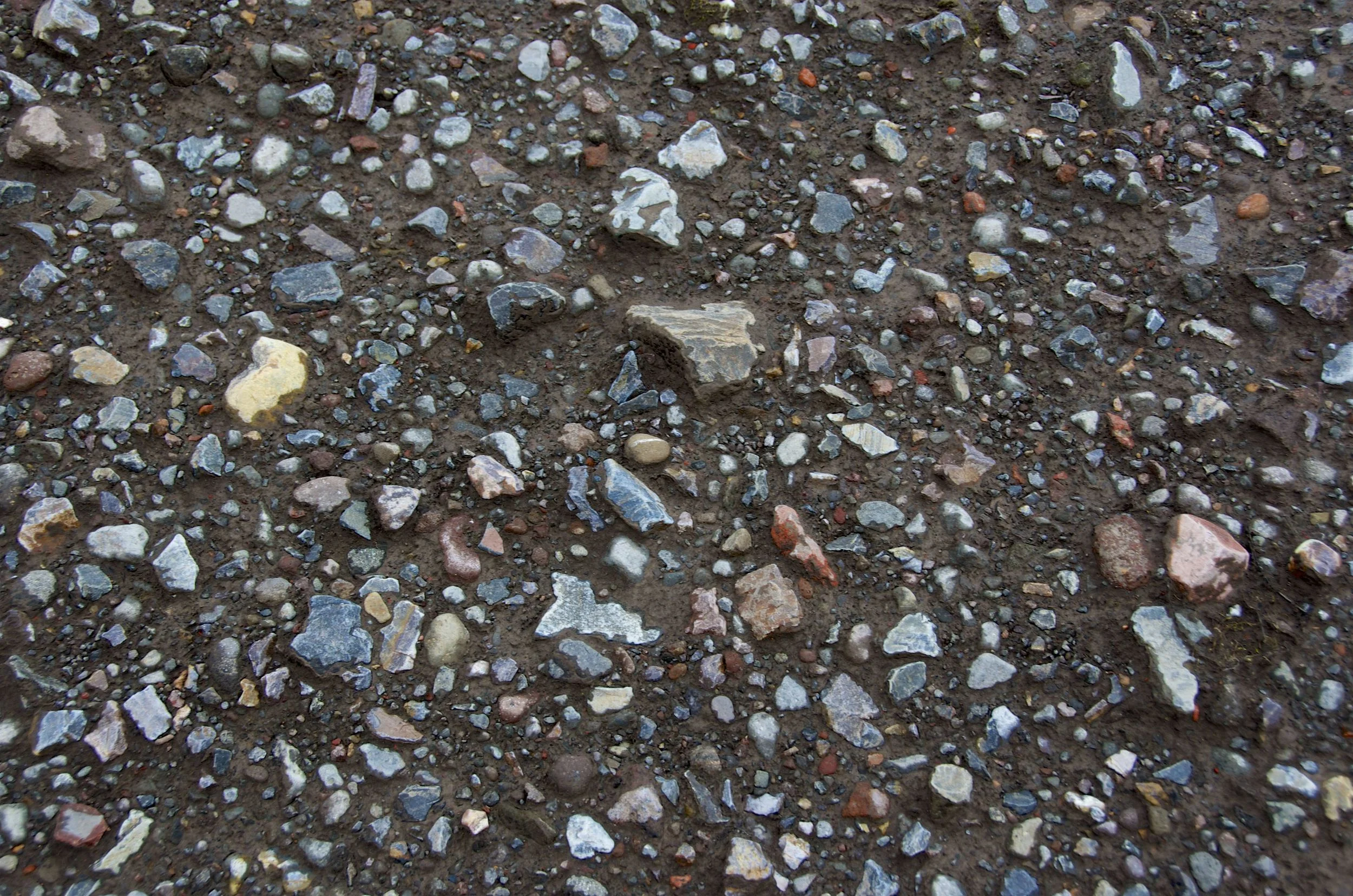 DSC_0667.jpg