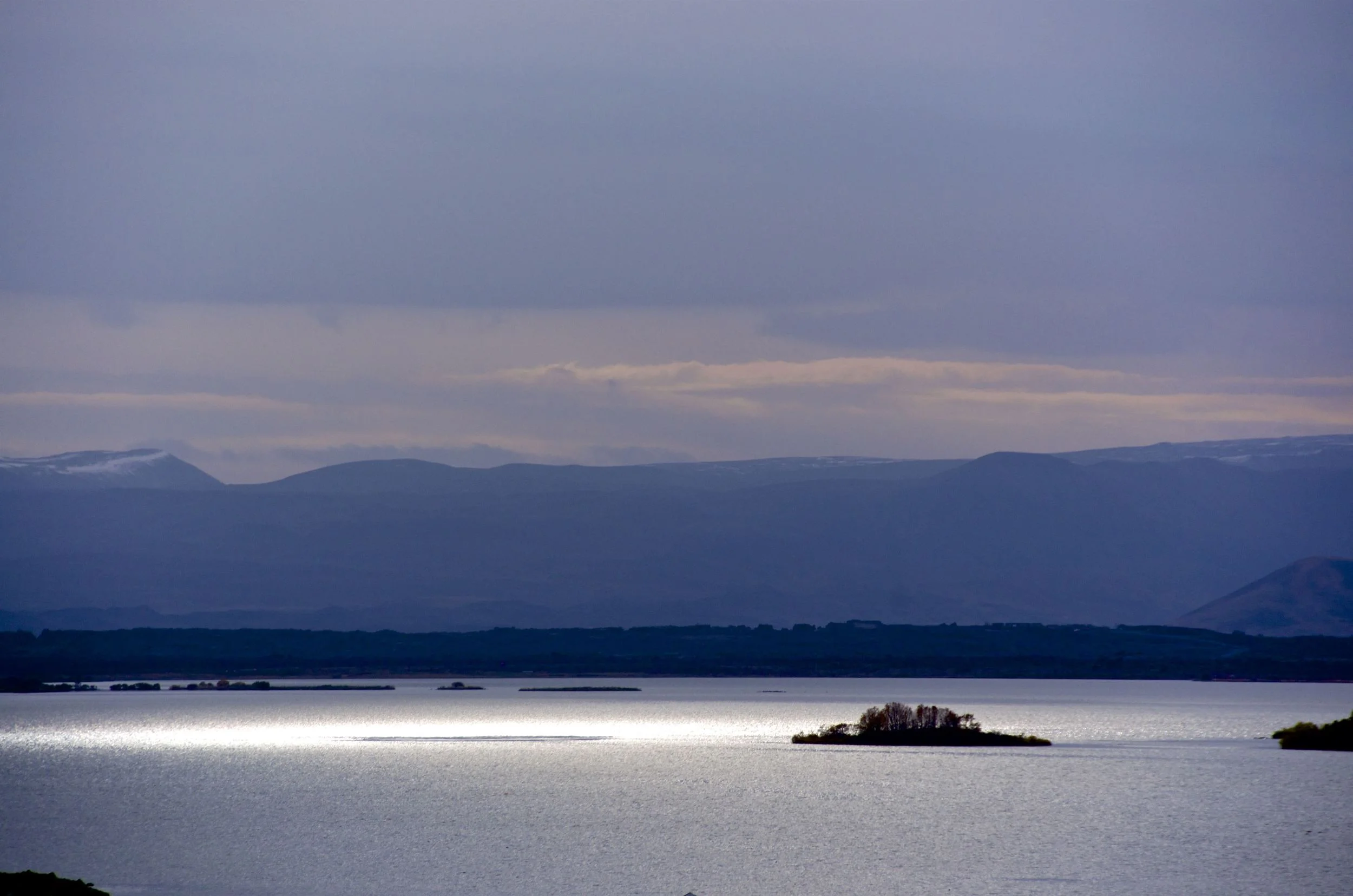 DSC_0989.jpg