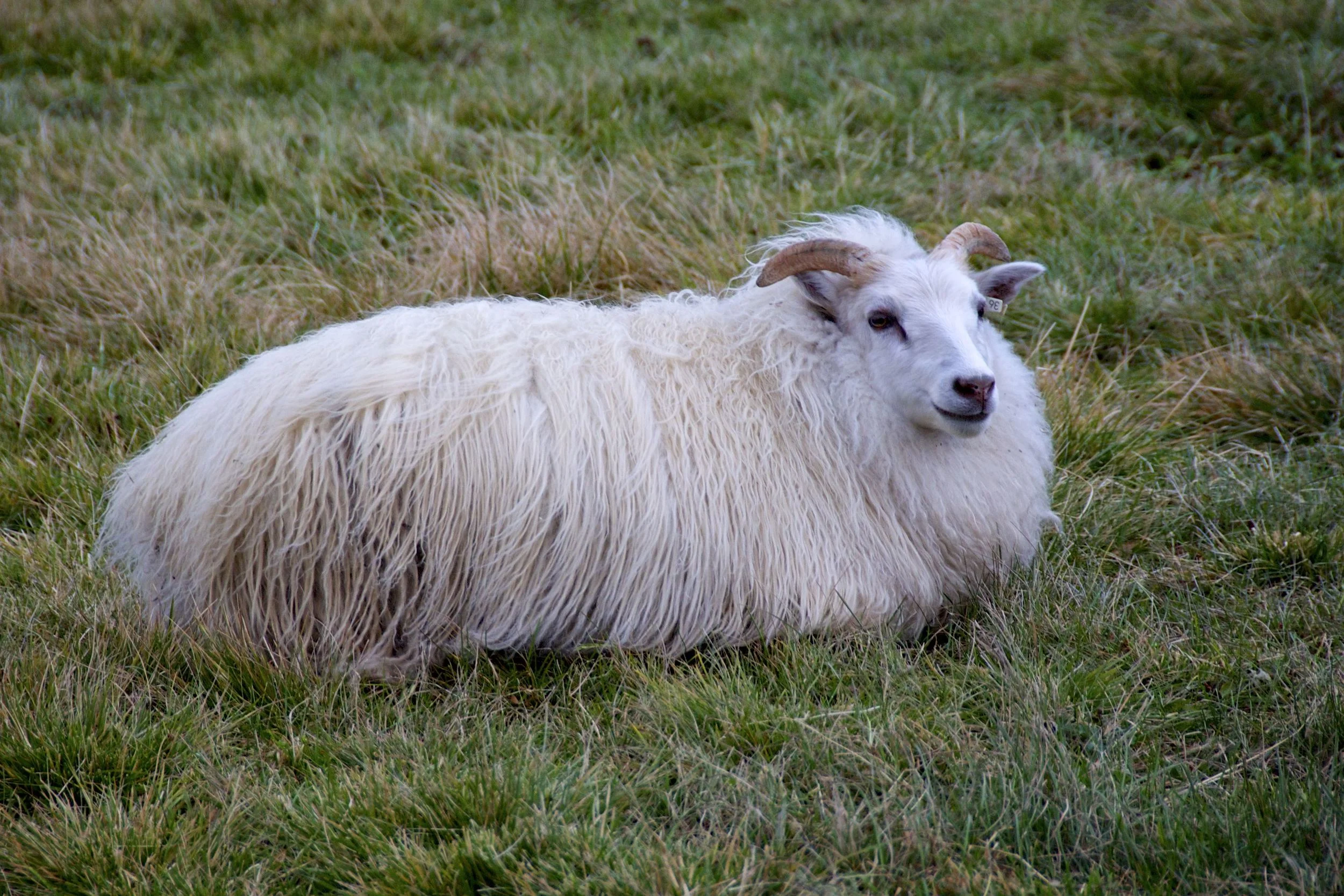 DSC_1206.jpg