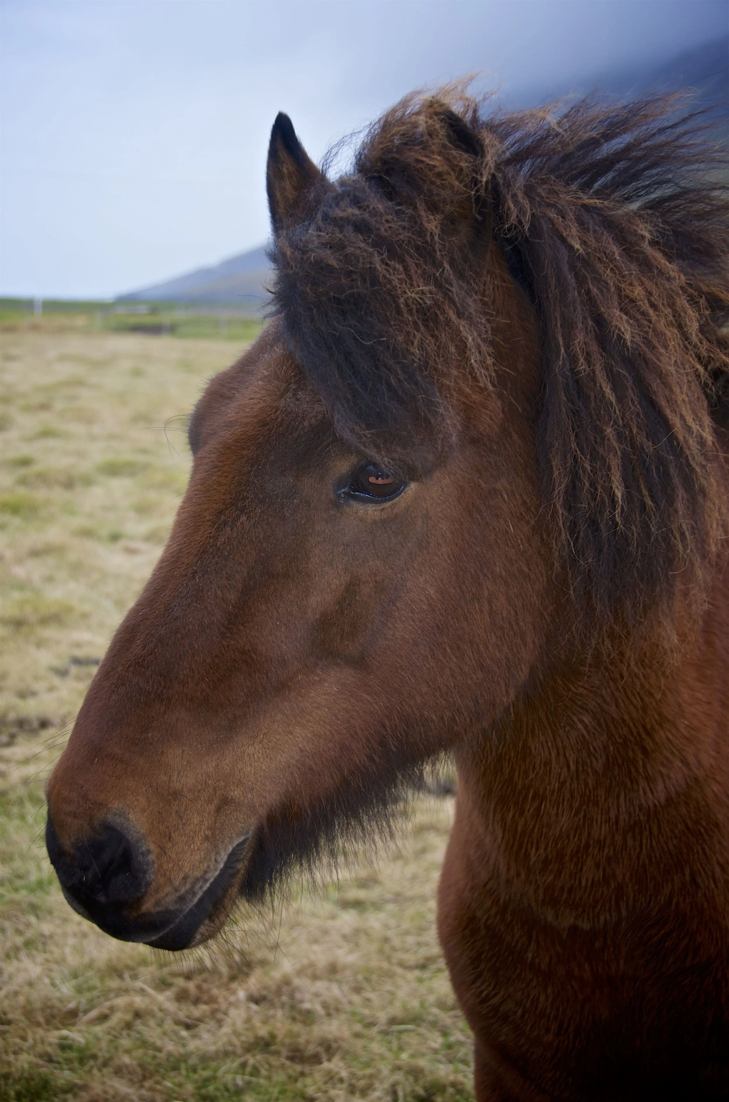 DSC_1314.jpg