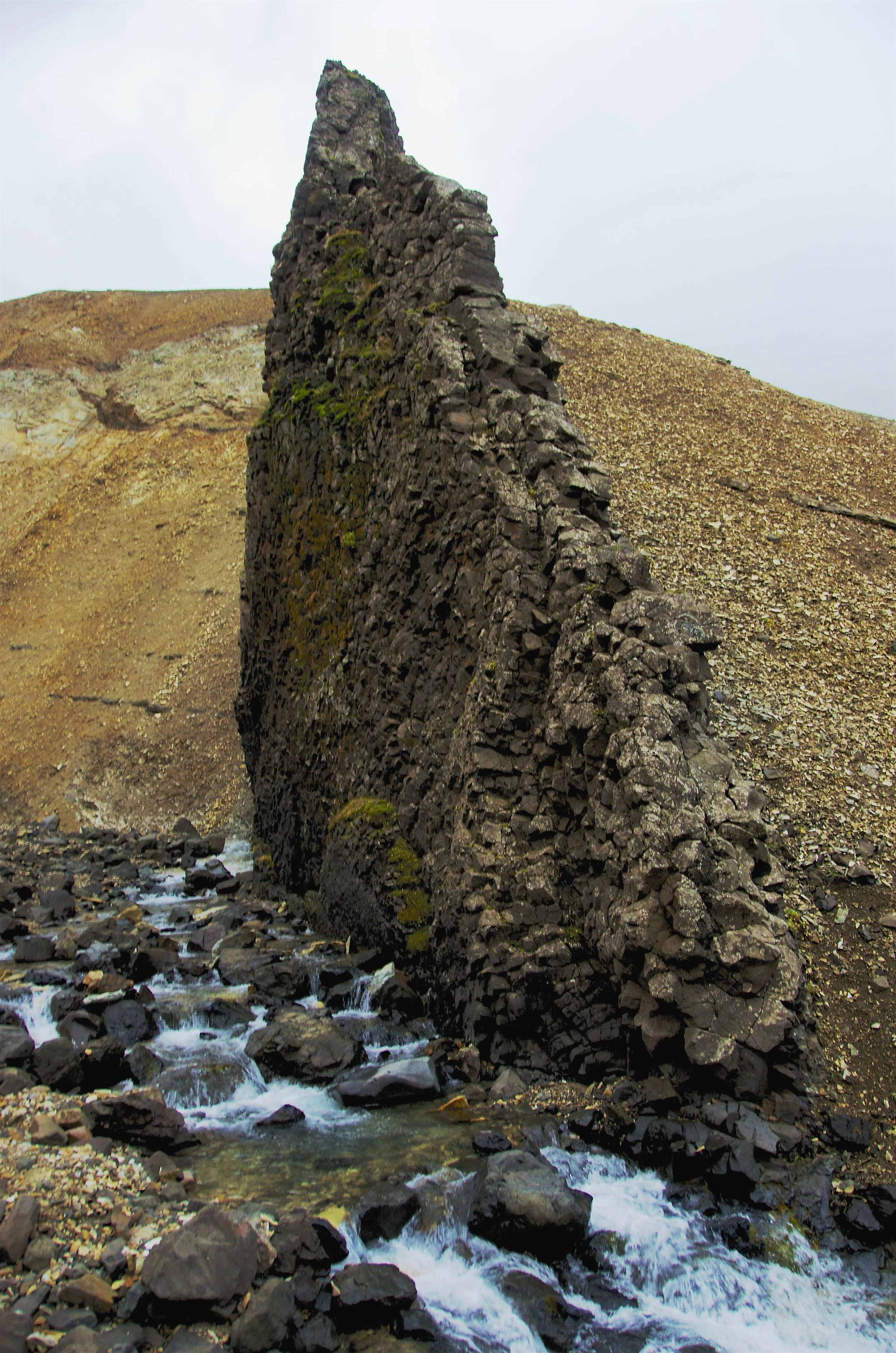 DSC_1343.jpg