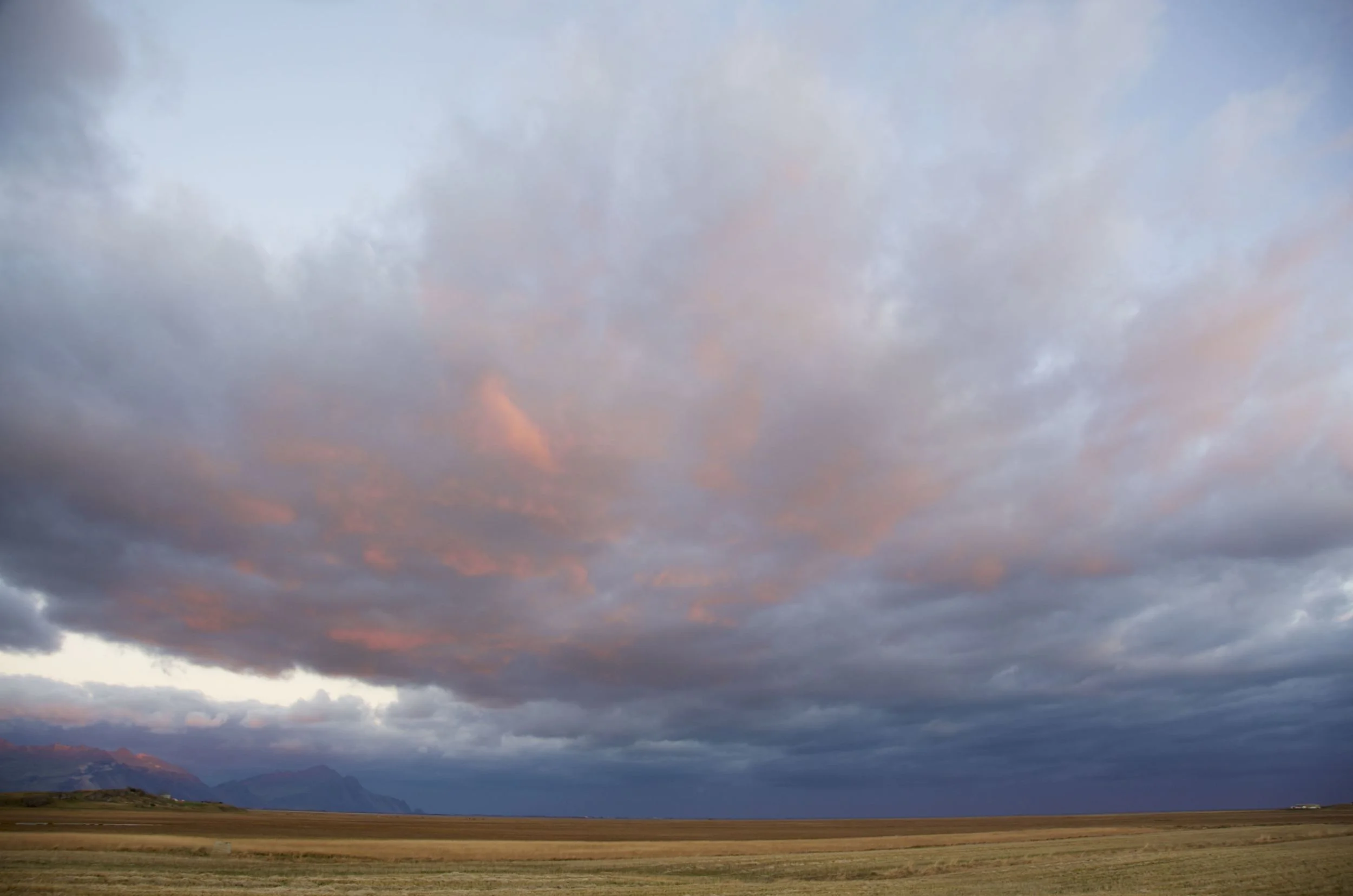 DSC_1492.jpg