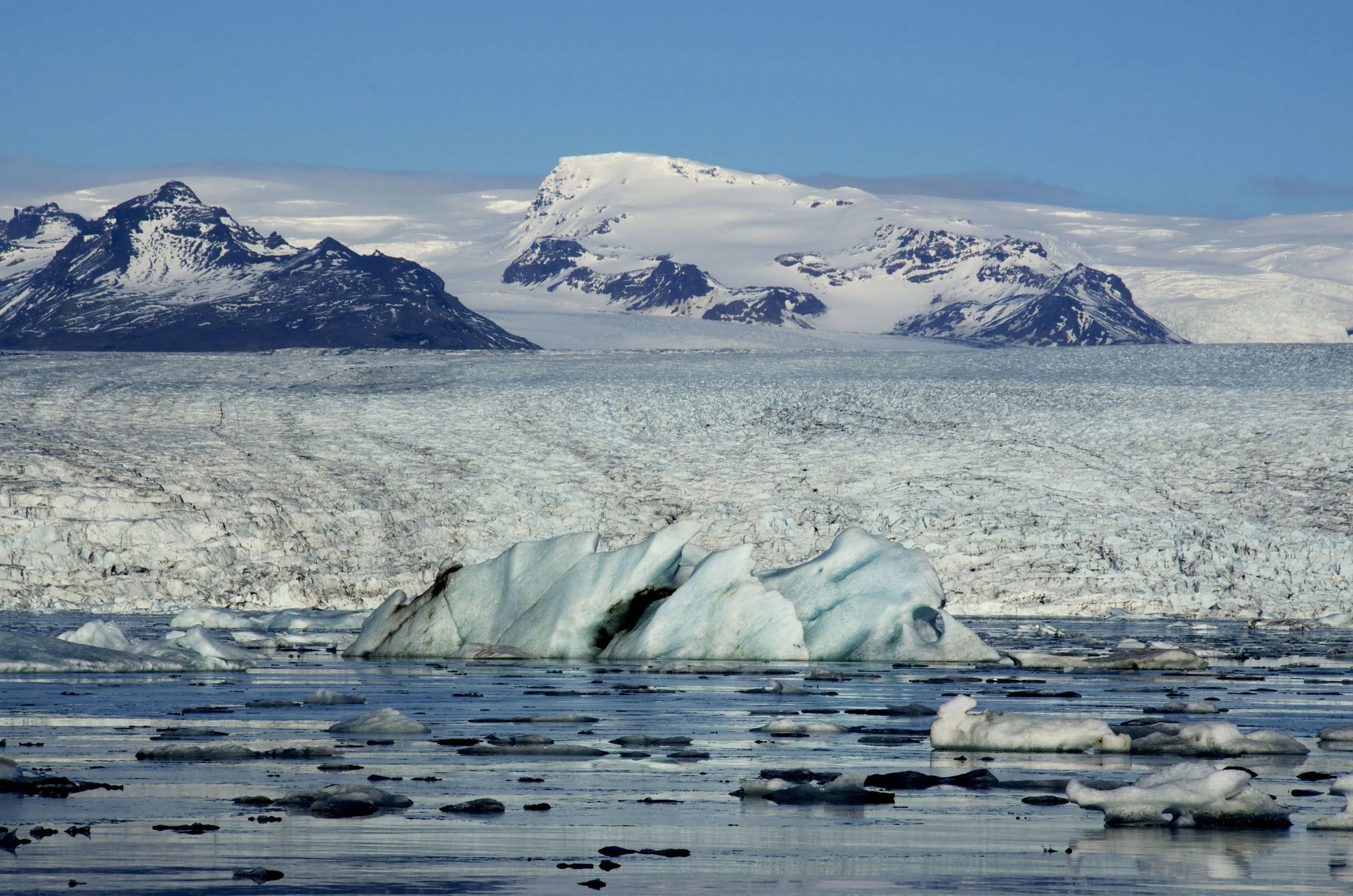 DSC_1585.jpg