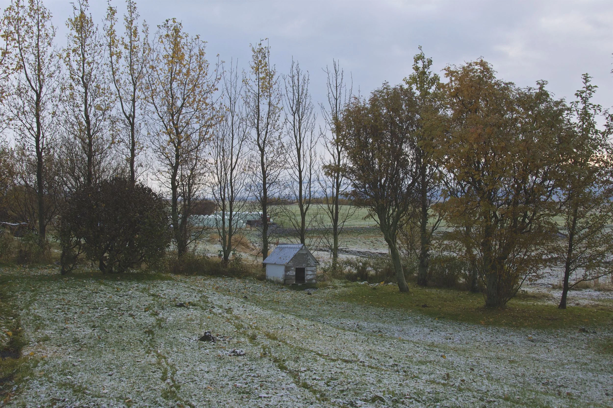DSC_1942.jpg