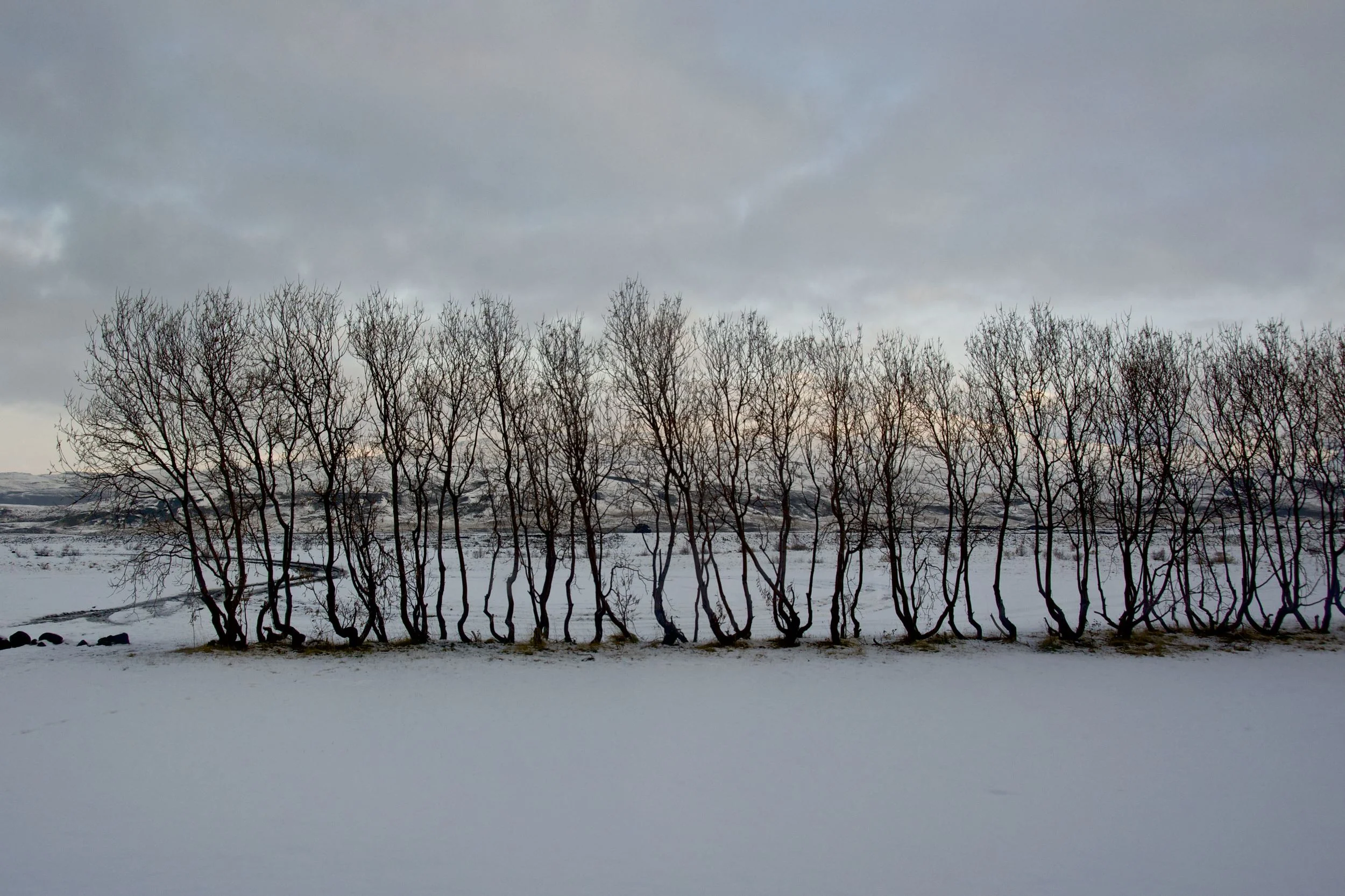 DSC_2096.jpg