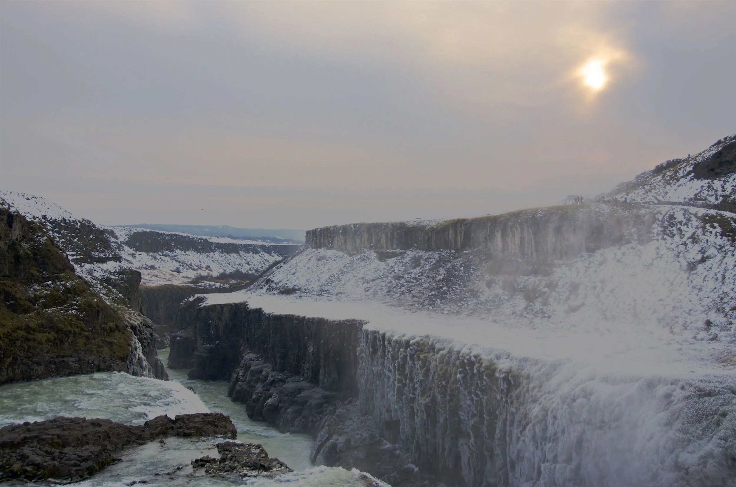 DSC_2330.jpg