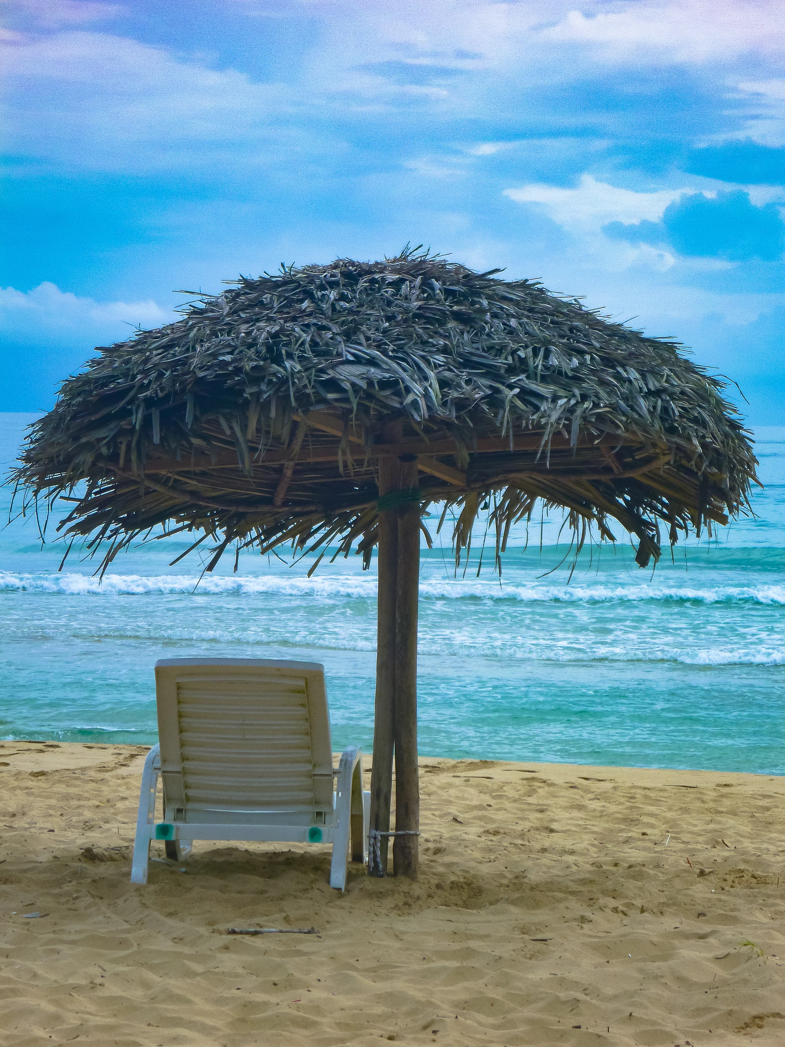 Bocas 3-30.jpg