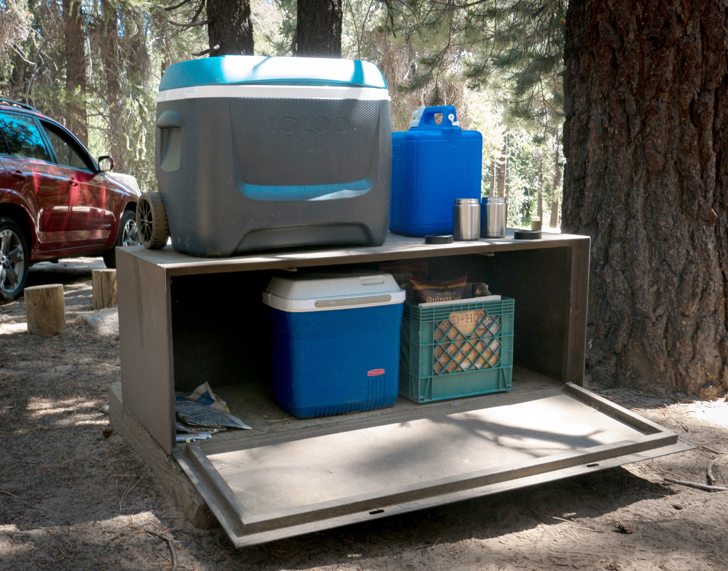 We're gonna need a bigger bear box. Our ice chest doesn't fit. 