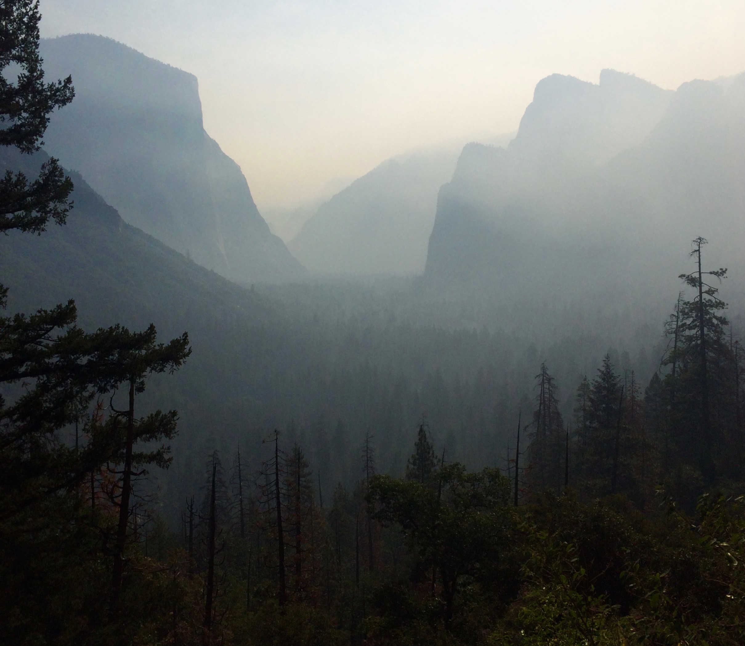 No Half Dome view from Tunnel View. 
