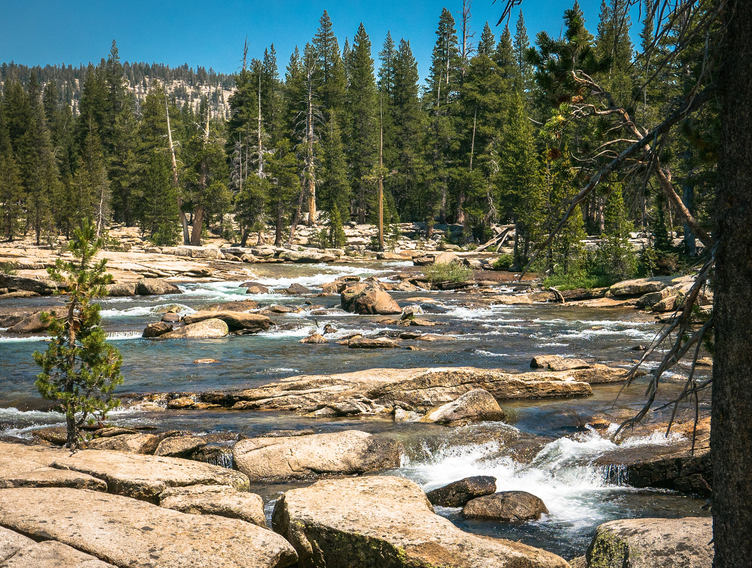 It felt so good to see so much water in the river. 