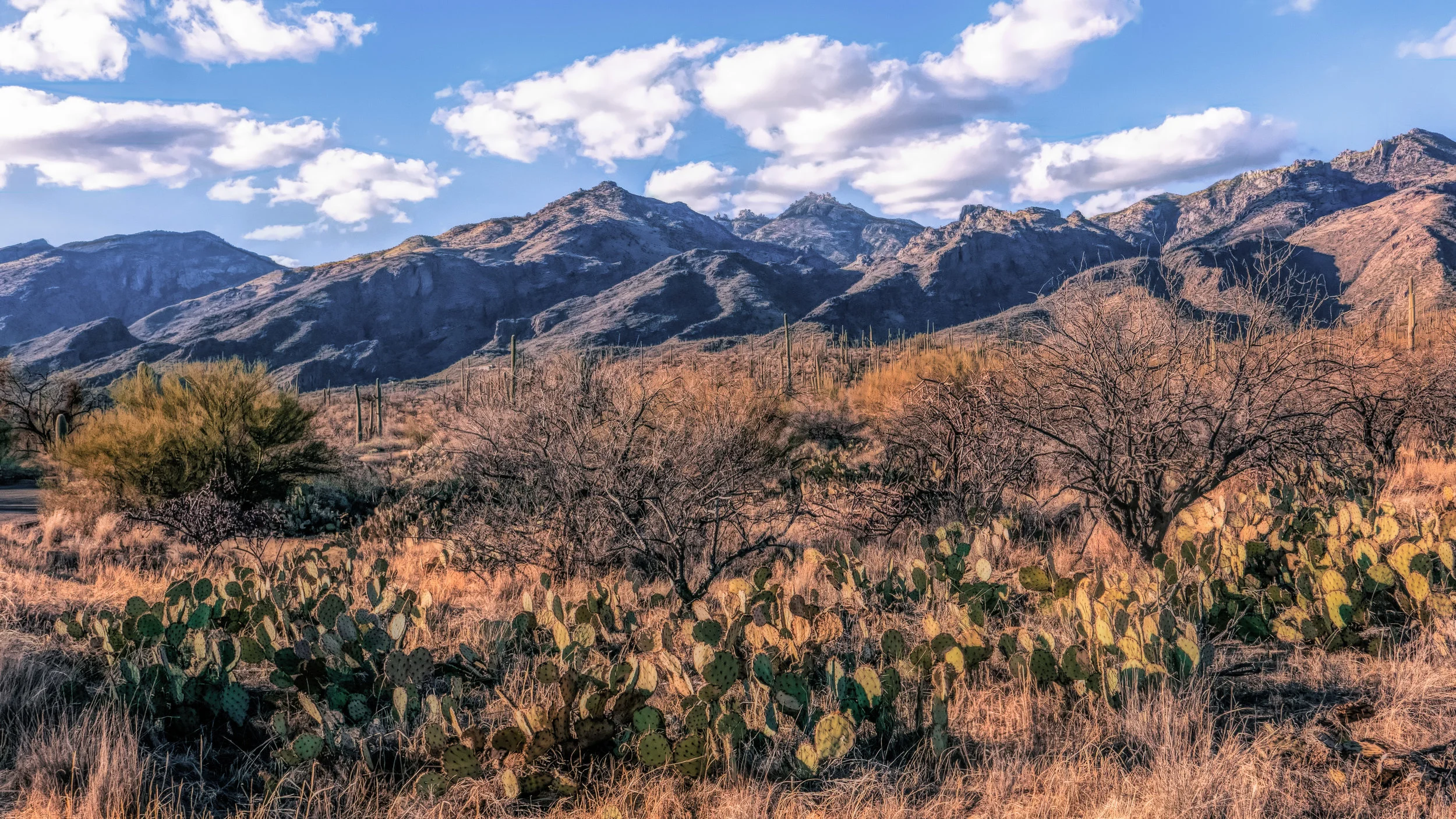 Rolling hills viewed from the the Sabino Canyon Visitor Center. 
