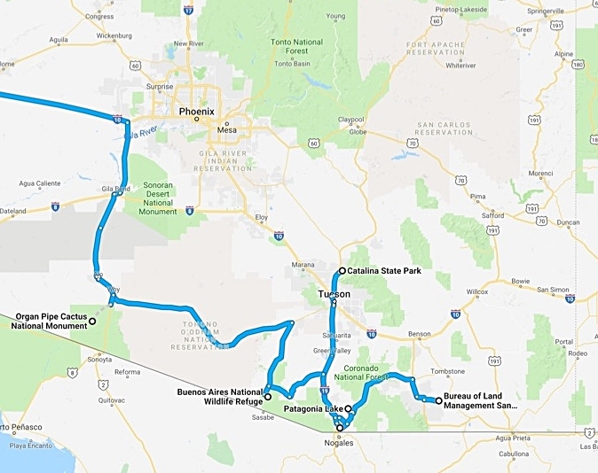 A South-west Arizona Winter Walkabout. 